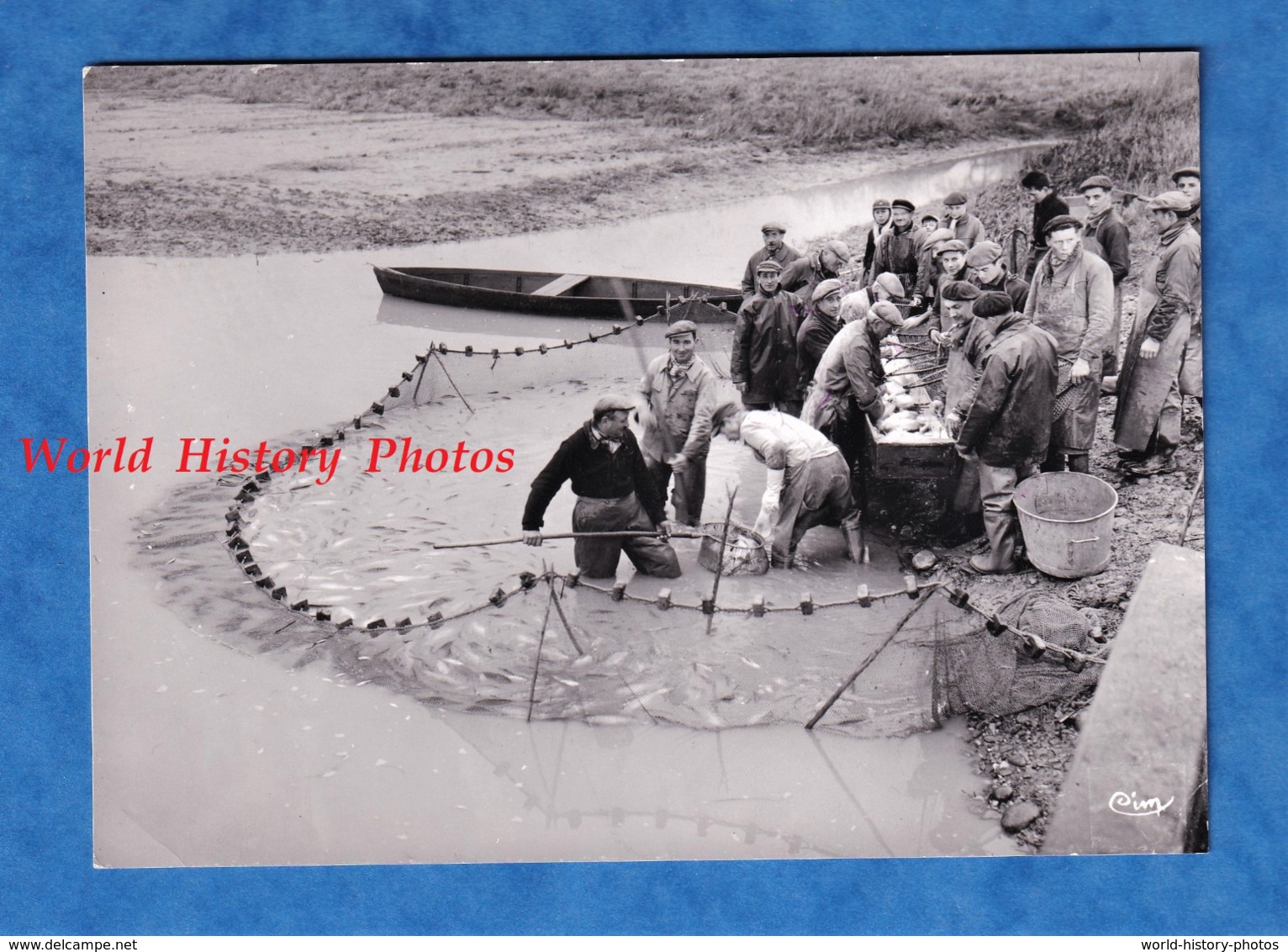 Photo Ancienne - étang De LA DOMBES - Jour De Pêche - 1968 - Pécheur Au Filet - Villars Les Dombes Ain Lapeyrouse - Métiers