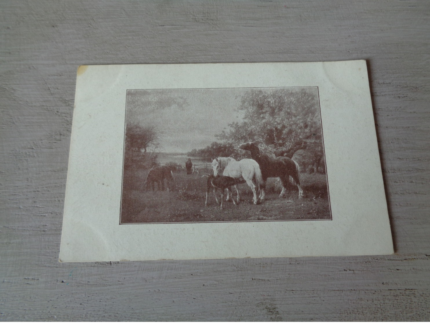 Carte ( 356 ) Fantaisie  Fantasie - Thème Animal  Dier  :   Paard   Cheval - Veeverzekering  ' S - Gravenhage  Den Haag - Chevaux