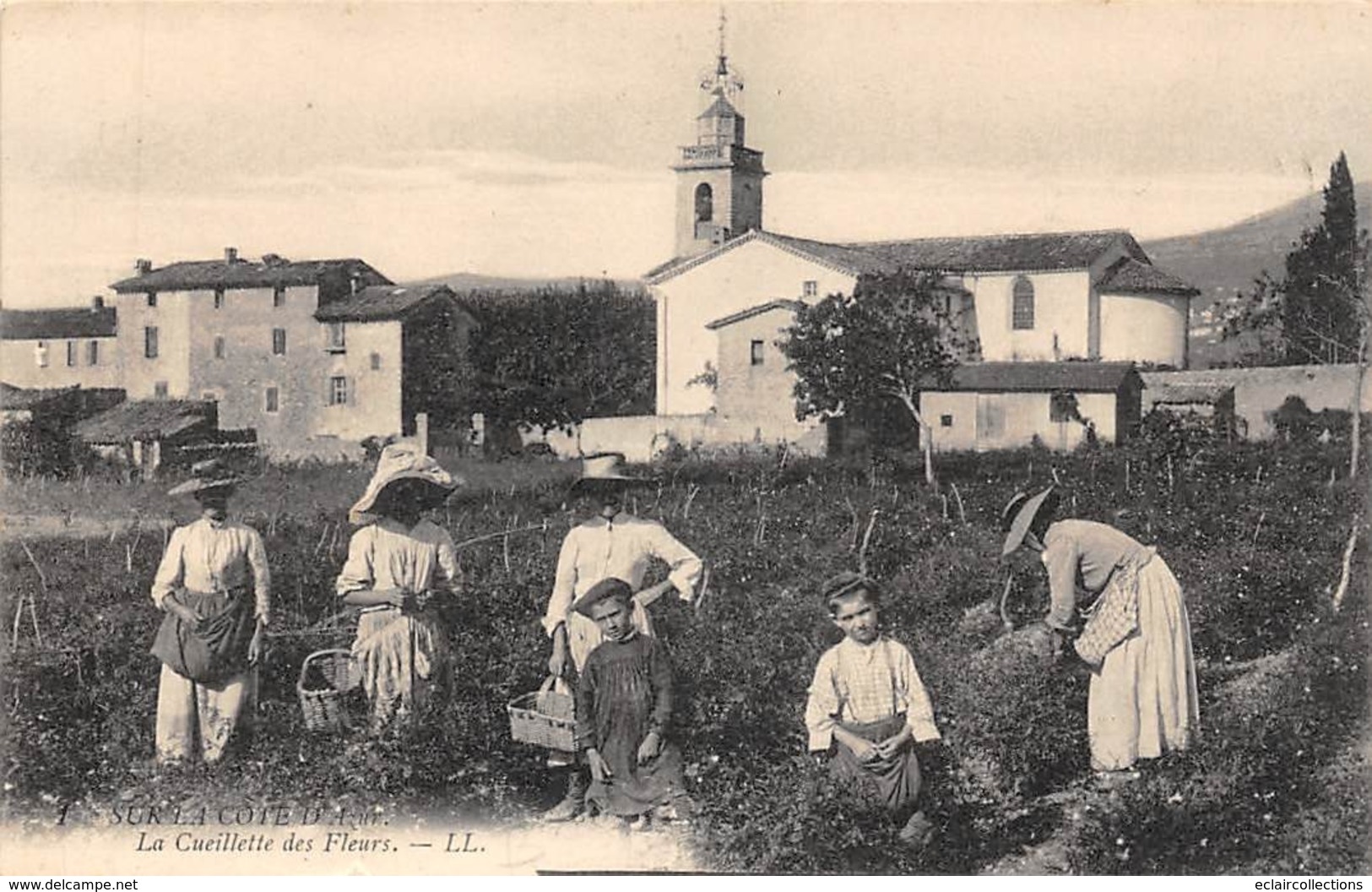 Thème  Métiers .    Agriculture .. Côte D'Azur    Cueillette Des Fleurs    Lot De 2 Cartes (voir Scan) - Culture