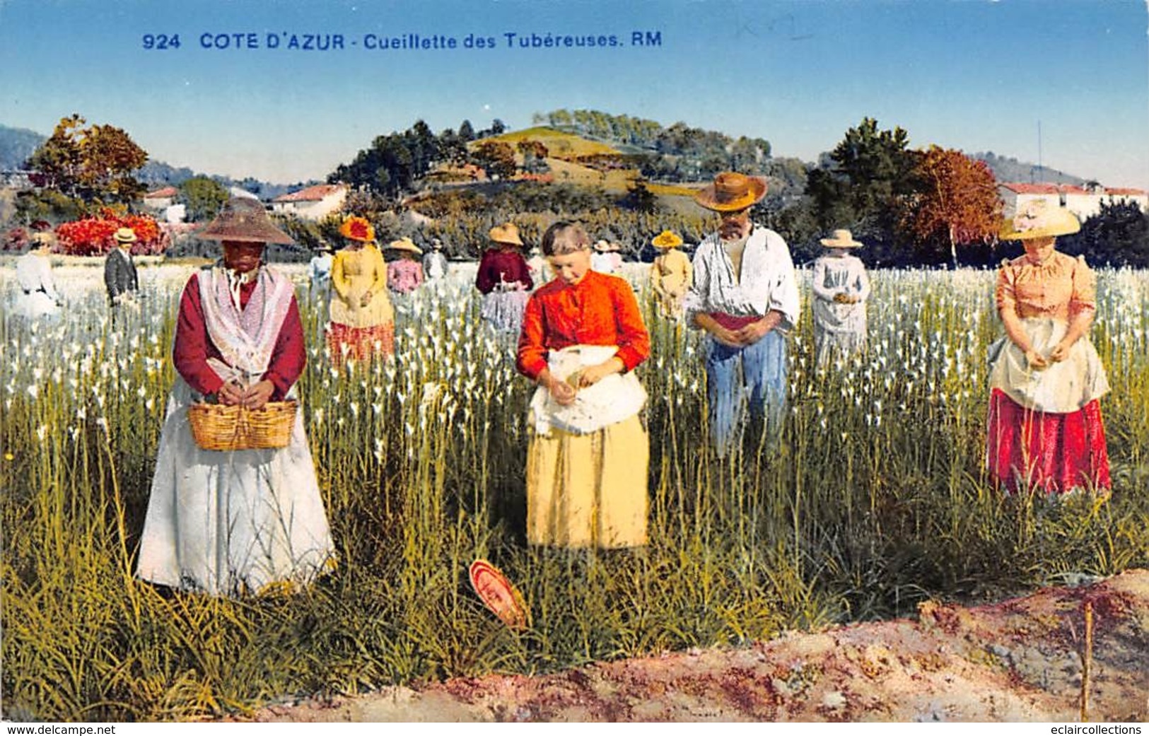 Thème  Métiers .    Agriculture .. Côte D'Azur    Cueillette Des Tubéreuses        Lot De 3 Cartes (voir Scan) - Cultivation