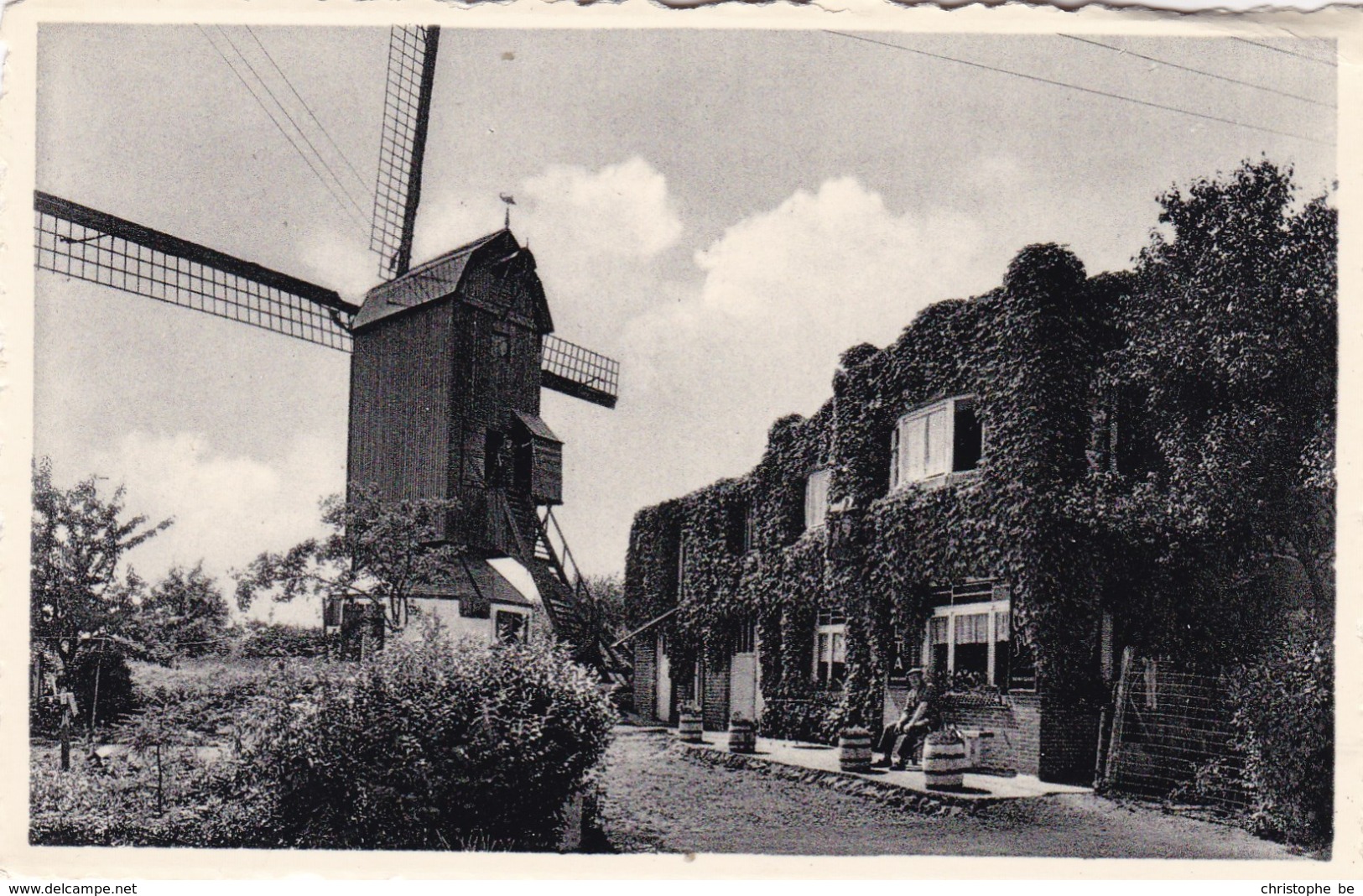 Beveren Yser, Ijzer, Windmolen, Moulin A Vent, Windmill (pk62074) - Poperinge