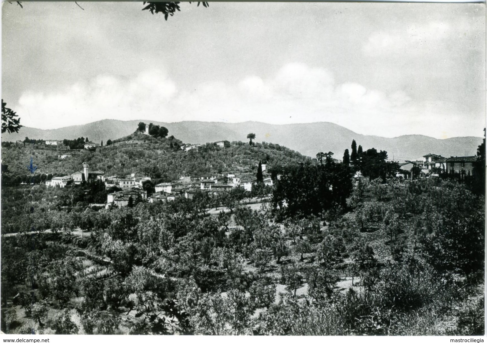 CARMIGNANO  PRATO  Panorama Con Vedute Della Rocca E Del Campano - Prato