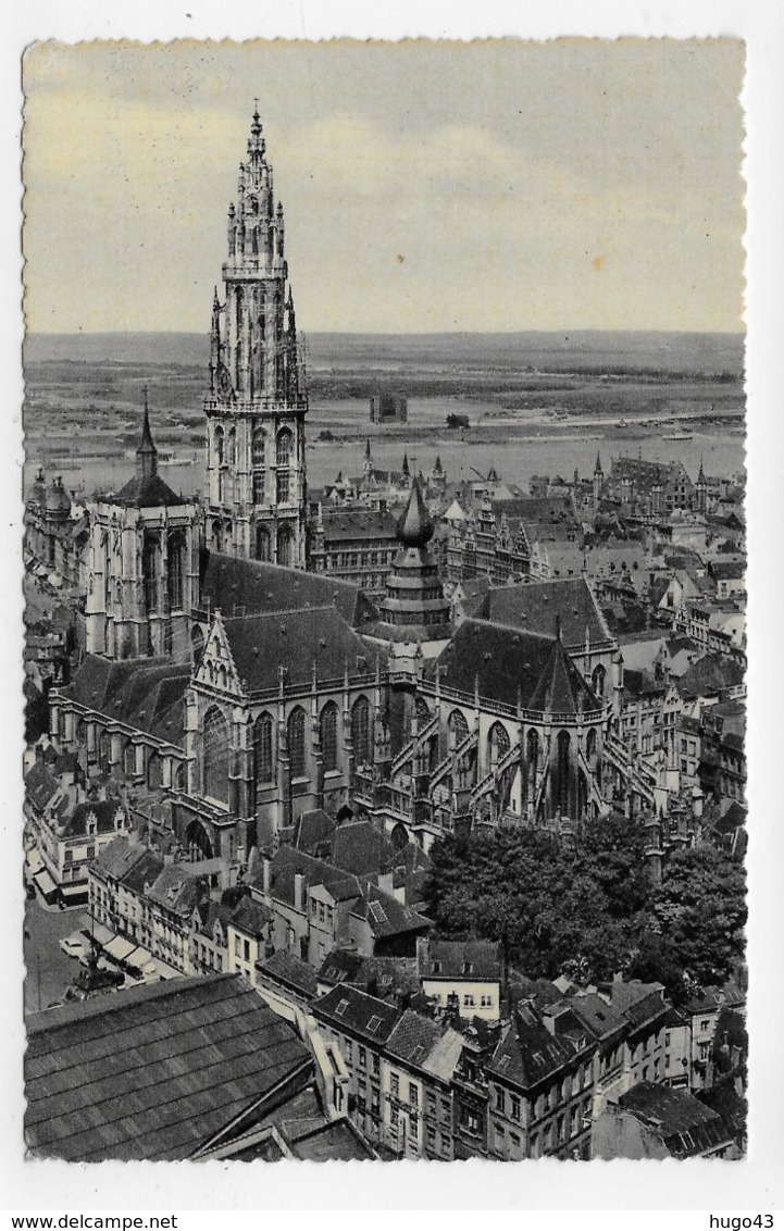 (RECTO / VERSO) ANVERS - LA CATHEDRALE ET PANORAMA DE L' ESCAUT - BELLE FLAMME ET TIMBRE - FORMAT CPA VOYAGEE - Antwerpen