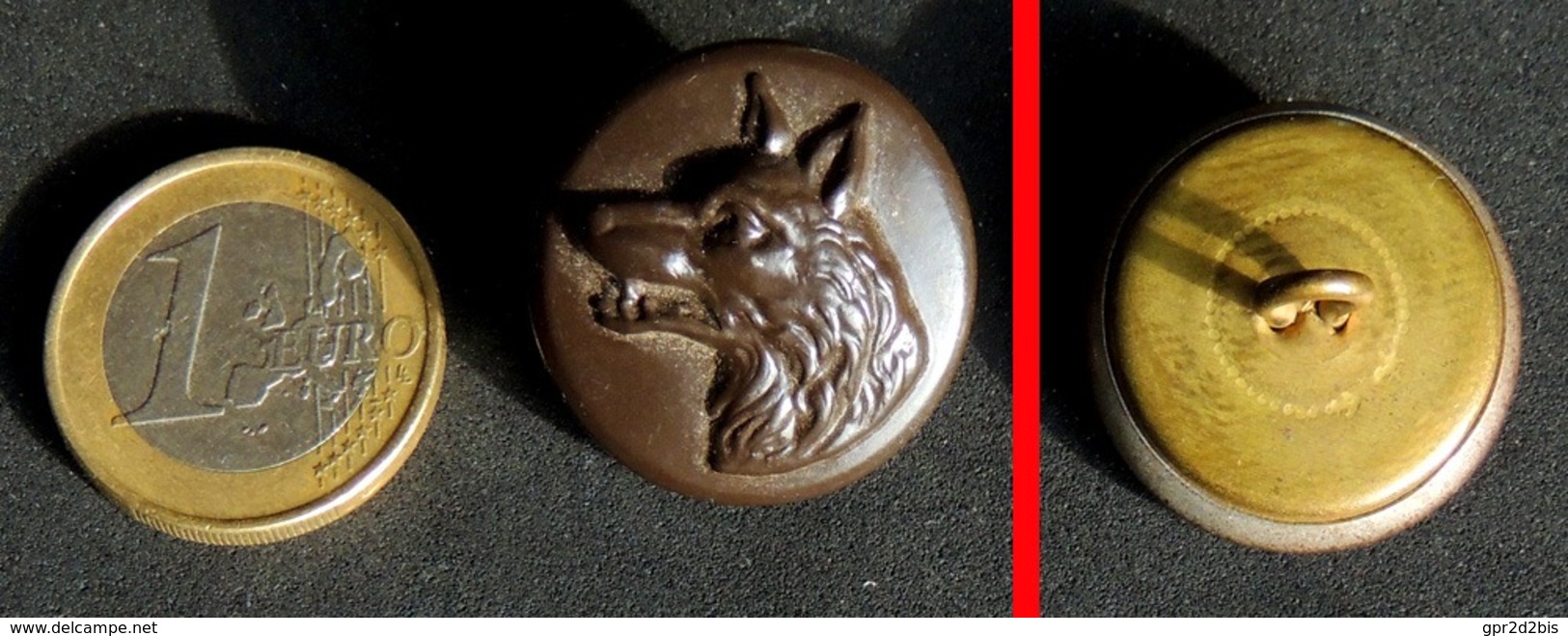 Ancien Bouton De Chasse Vénerie En Laiton Bruni : Tête De LOUP - Buttons