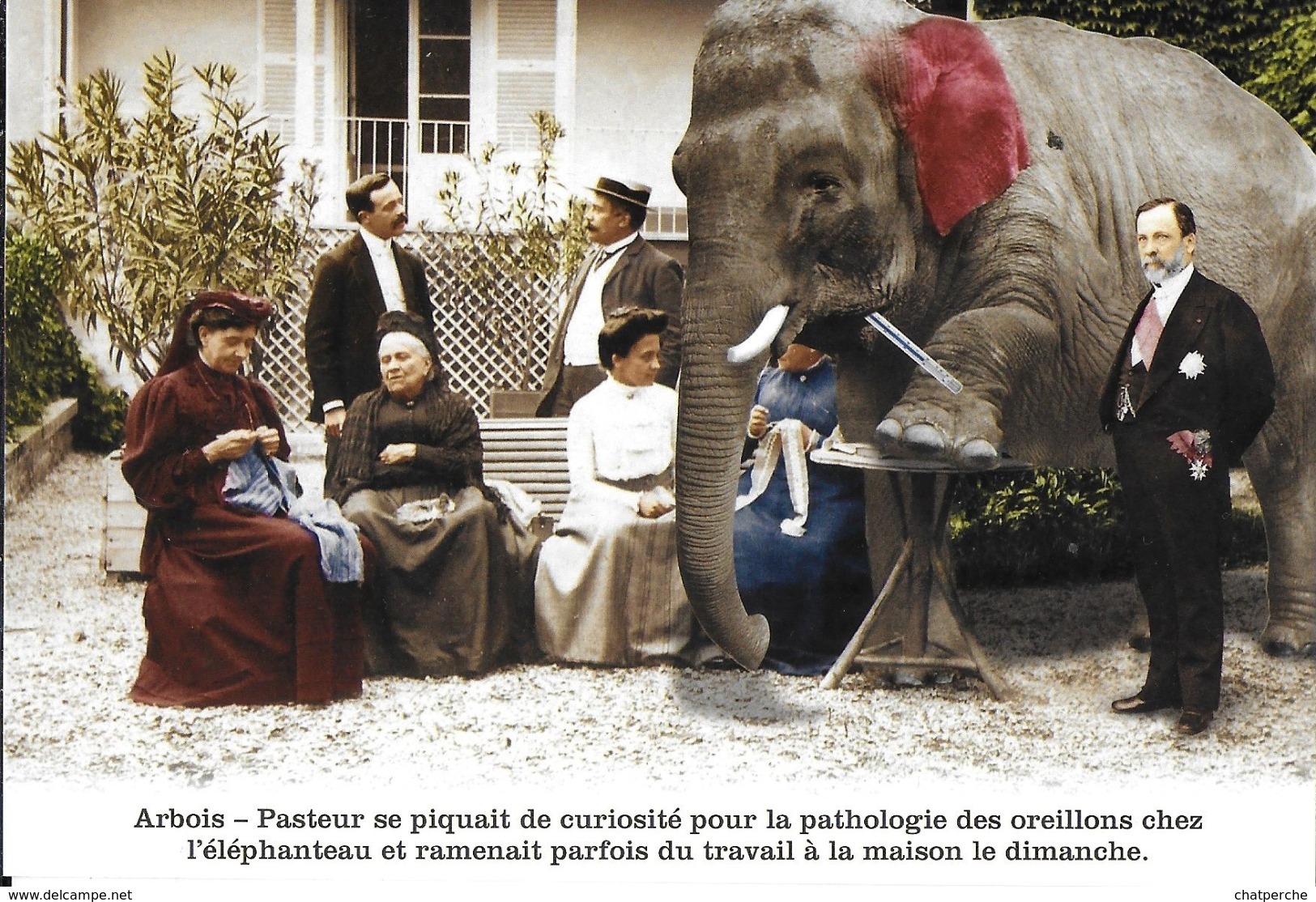 HUMOUR  ARBOIS- PASTEUR PATHOLOGIE DES OREILLONS CHEZ L’ÉLÉPHANT - Humour