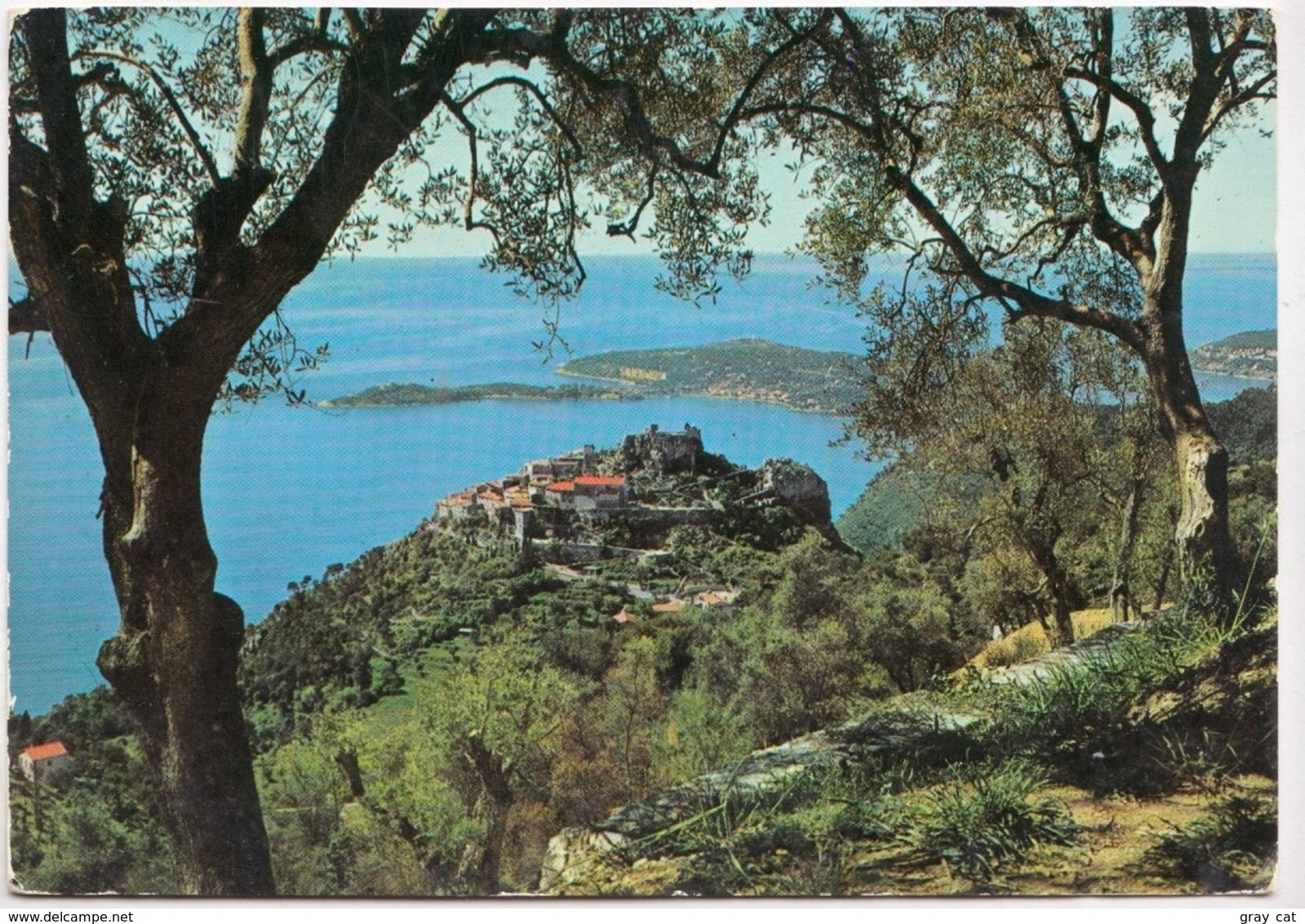 EZE Entre Les Oliviers, LE CAP-FERRAT, 1963 Used Postcard [23619] - Eze