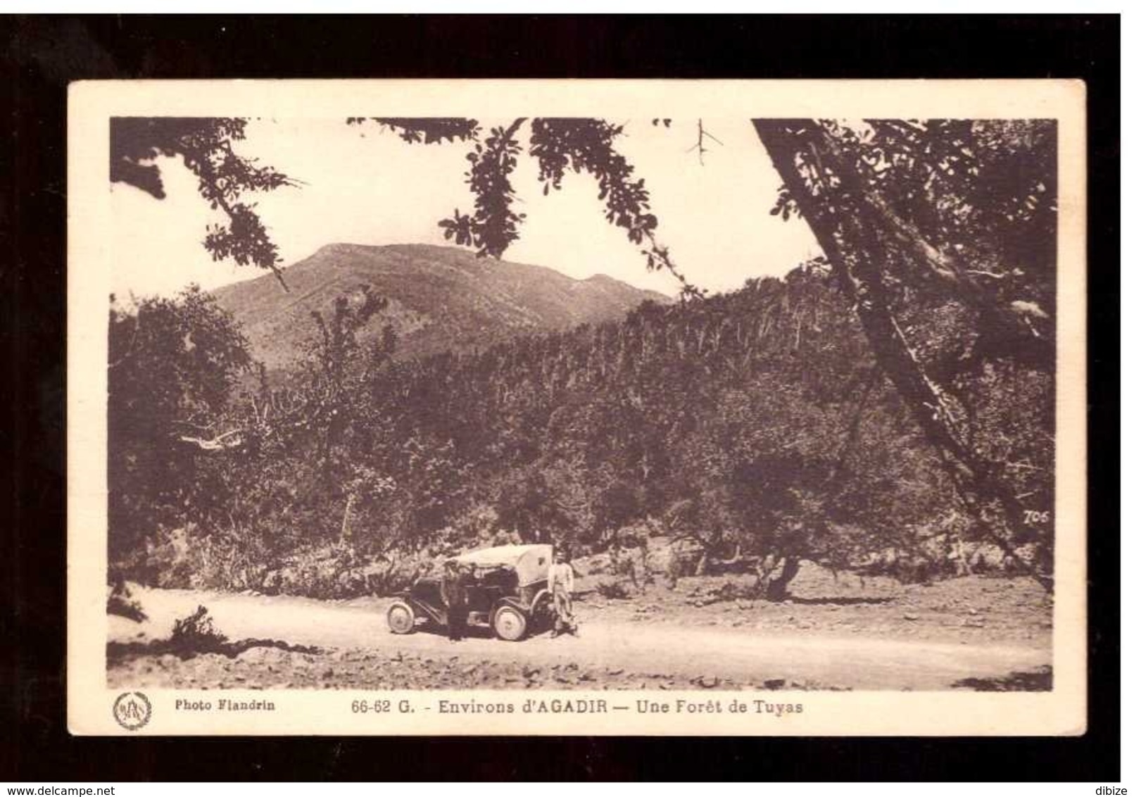 Marokko. Postkarte. Umgebung Von Agadir.  Zedernwald. Altes Auto Durchschnittlicher Zustand. Foxing. - Agadir