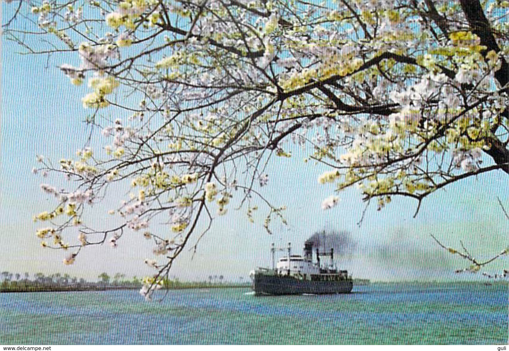 Asie-CHINA-CHINE The HAIHO River In Spring  (bateau Ship )  *PRIX FIXE - Chine