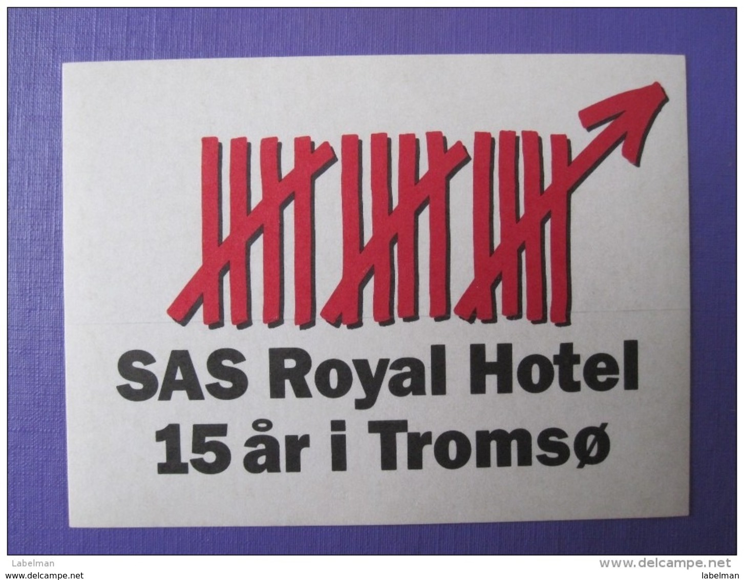 HOTEL HOTELLI HOTELL HOTELLET PENSION SAS ROYAL TROMSO NORVEGE NORWAY NORGE DECAL LUGGAGE LABEL ETIQUETTE AUFKLEBER - Hotel Labels