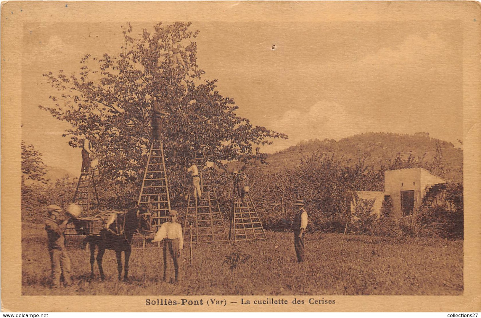 83-SOLLIES-PONT-LA CUEILLETTE DES CERISES - Sollies Pont