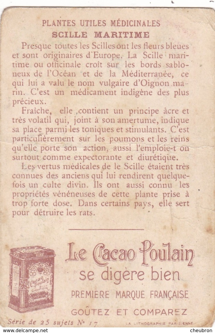 CHROMOS.  IMAGE. LES PLANTES UTILES MÉDICINALES. " SCILLE MARITIME ".PUBLICITÉ  " CHOCOLAT POULAIN ORANGE " - Autres & Non Classés