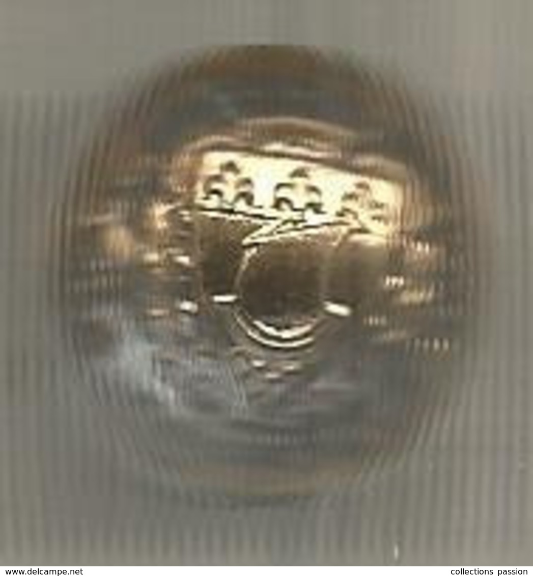 BOUTON ,  GARDE REPUBLICAINE ,diamètre 20 Mm , 2 Scans - Buttons