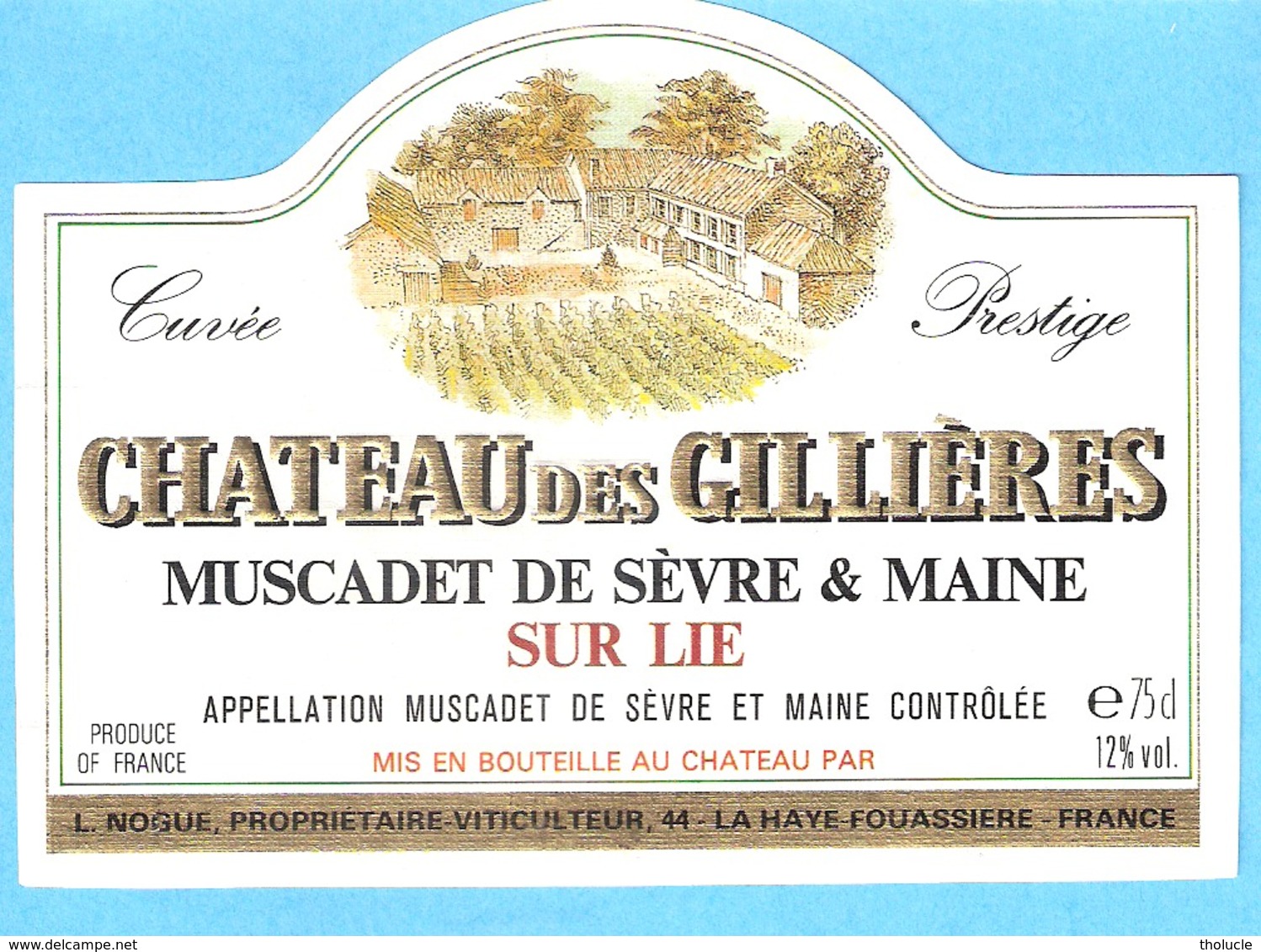 Etiquette-Vin De Sèvre Et Maine-Château Des Gillières-Muscadet Sur Lie-L.Nogue à La Haye-Fouassière (Nantes) - White Wines