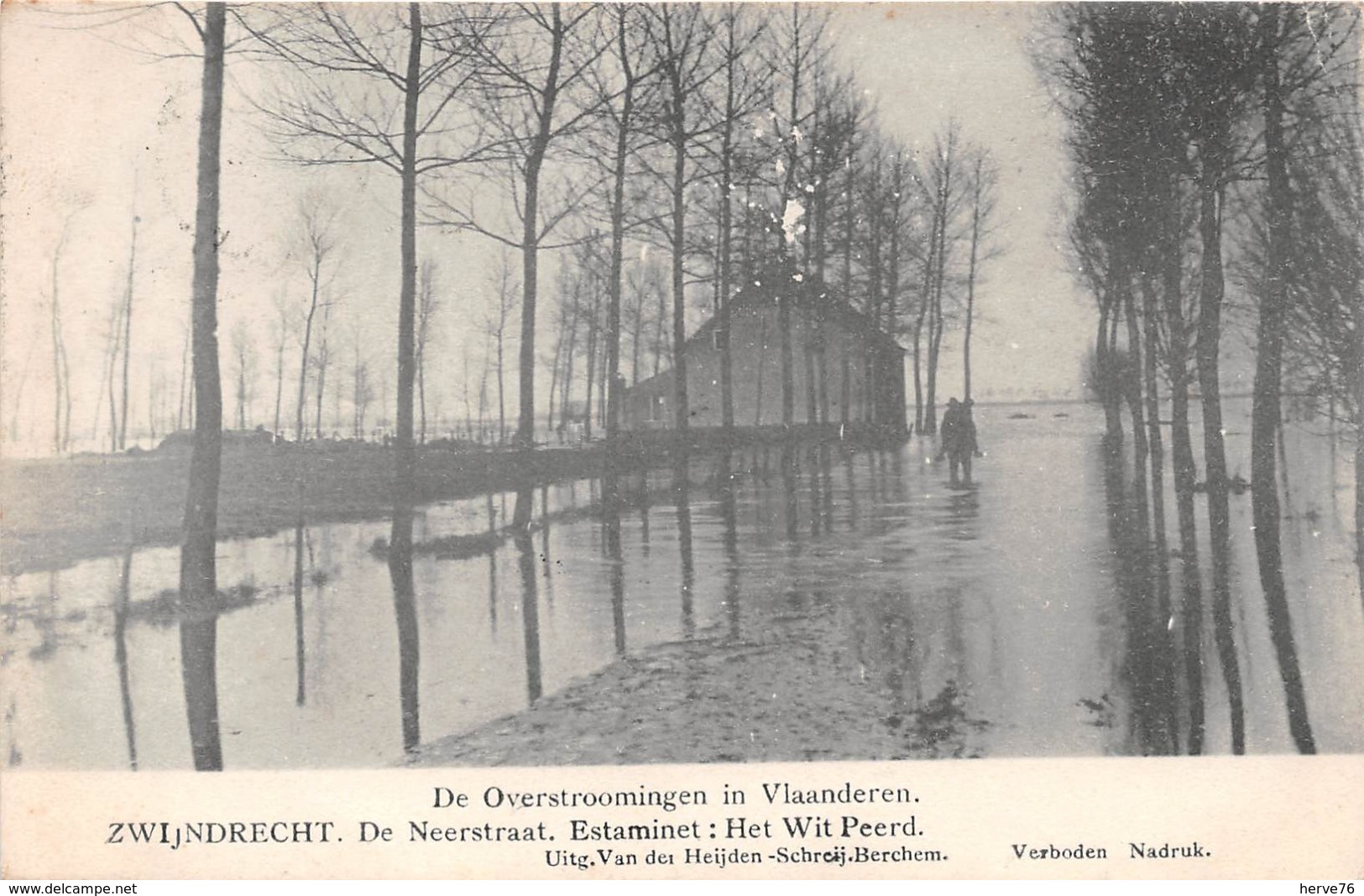 BELGIQUE - ZWIJNDRECHT - De Neerstraat. Estaminet : Het Wit Peerd - Inondations - Zwijndrecht