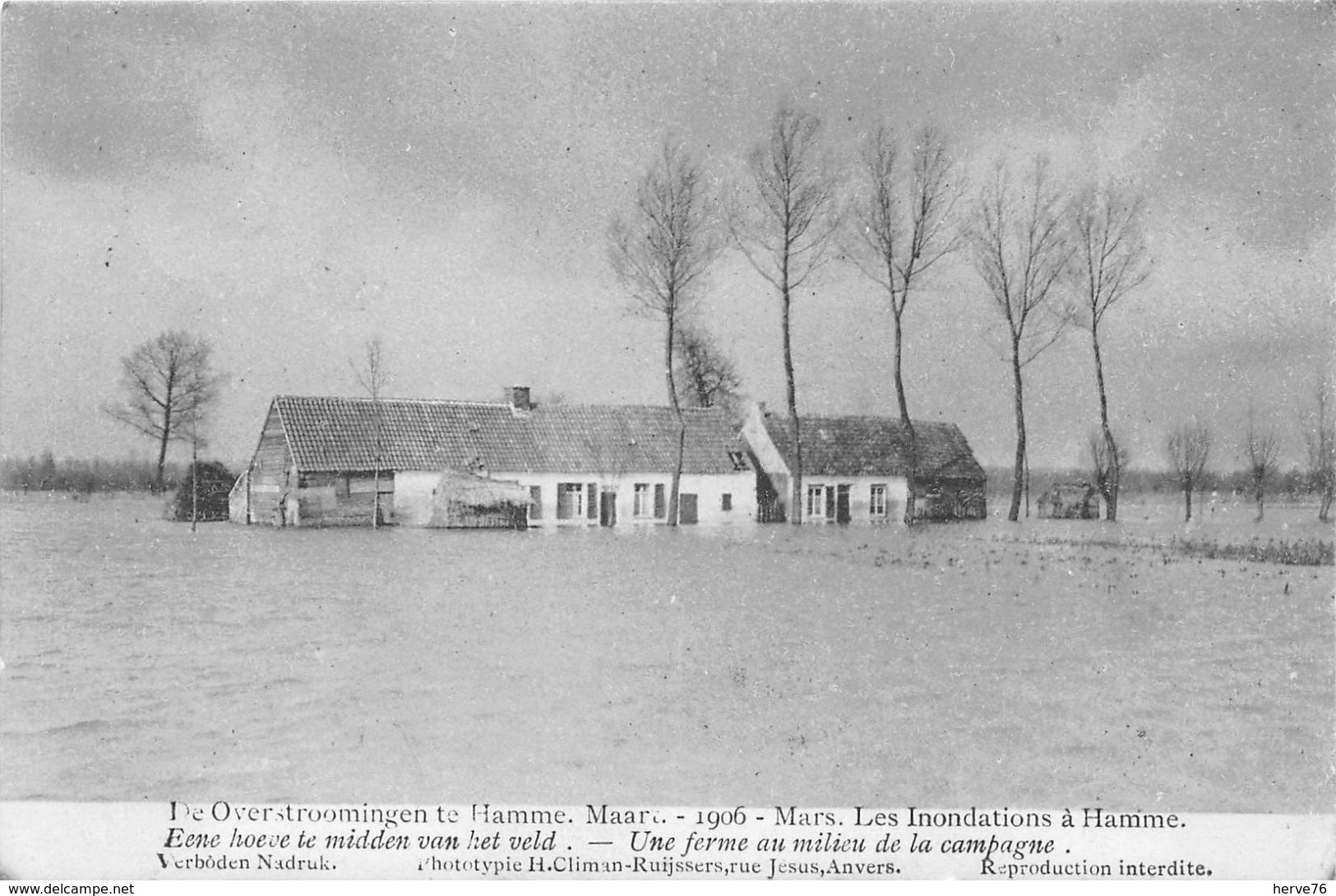 BELGIQUE - Inondations à HAMME - Mars 1906 - Une Ferme Au Milieu De La Campagne - Hamme