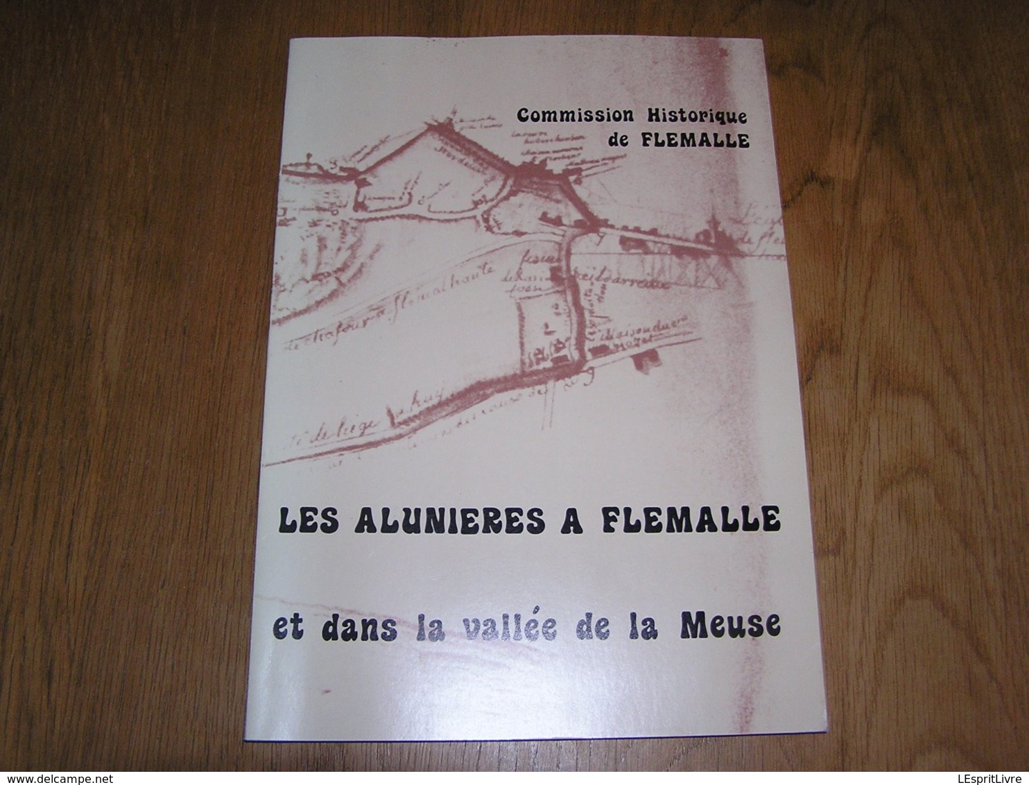 LES ALUNIERES à FLEMALLE ET DANS LA VALLEE DE LA MEUSE Régionalisme Industrie Extraction Pierre Alun Mine Puits Ampsin - Belgien