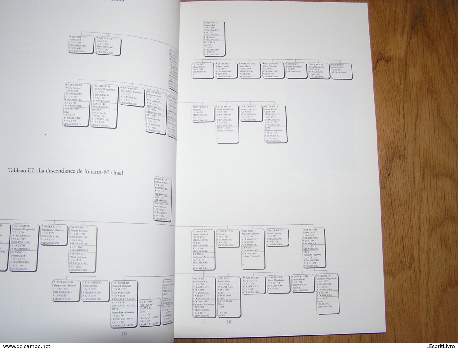 HISTOIRES DE LA FAMILLE D' OSTERRIETH Régionalisme Généalogie Anvers Industriel Belgique Francfort De Gerlache Belgica