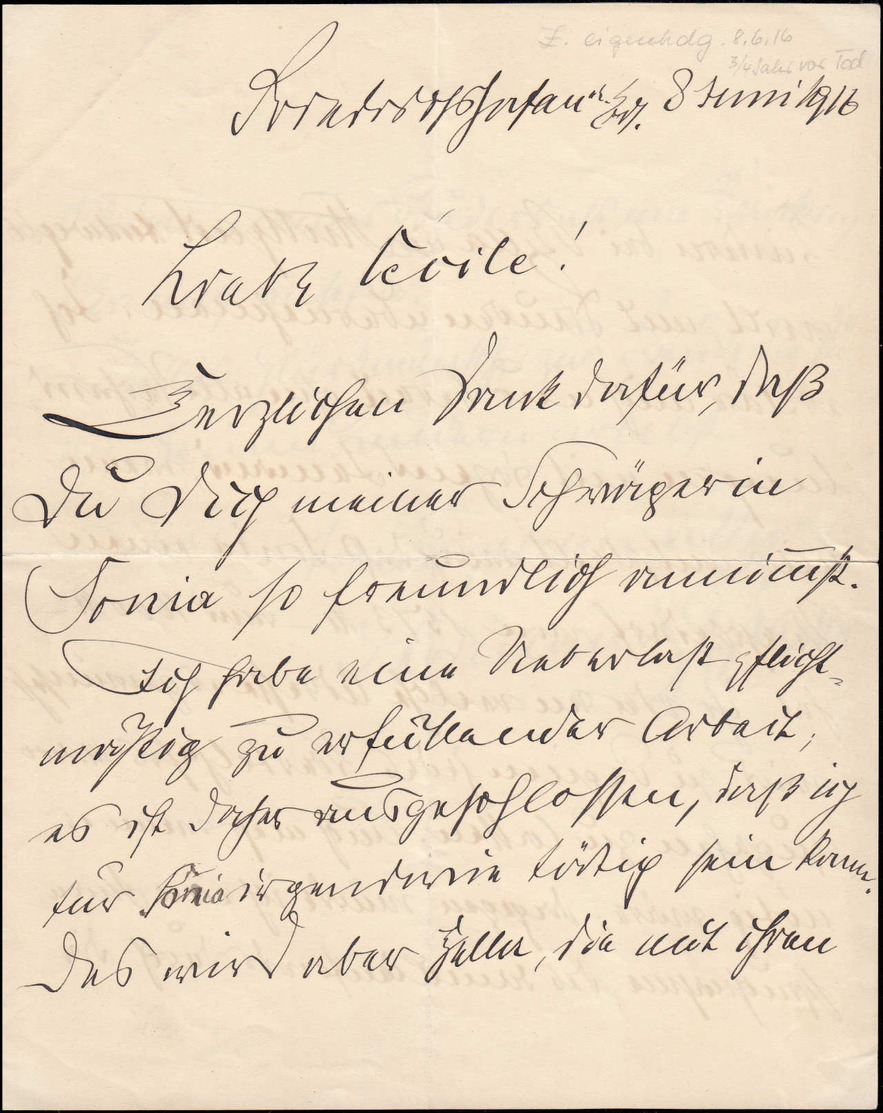 ALL. PA. ZEPPELIN - Autographes - Lettre Autographe De 3 Pages "Liebe Cecile" Du 8/6/1916, Signée F. Von Zeppelin (Rare) - Other & Unclassified