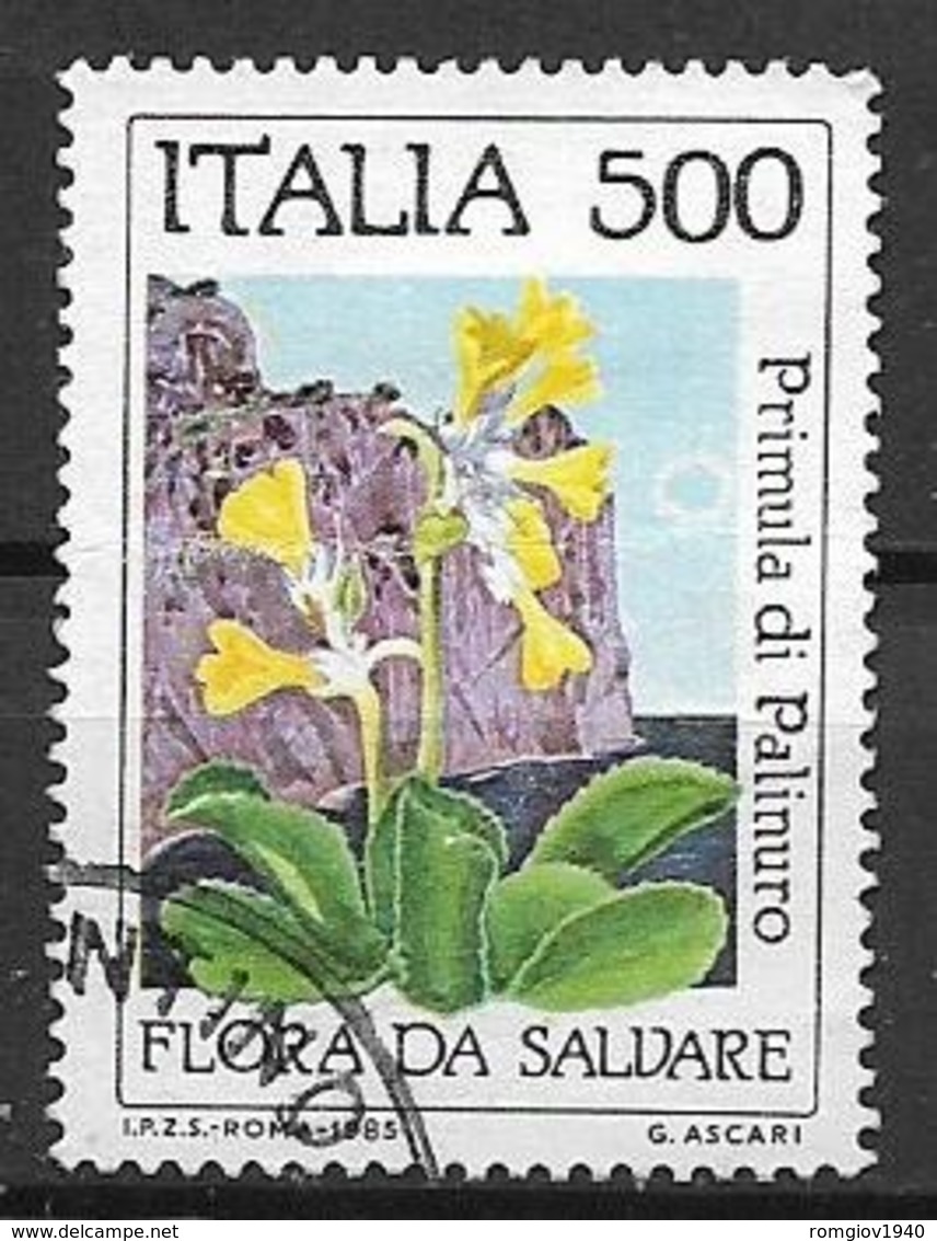 ITALia 1985 SALVAGUARDA DELLA NATURA SASS. 1721 USATO VF - 1981-90: Usati