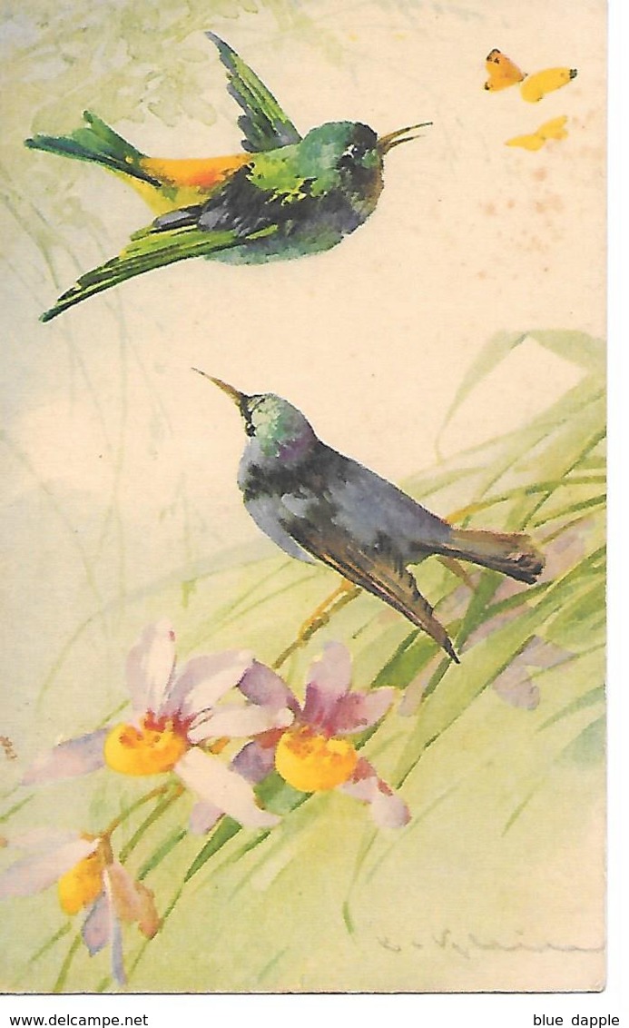 Illustrator - C. Klein - Birds, Vögel, Les Oiseaux, Uccelli, Hummingbird, Kolibri, Colibri, Orchid - Klein, Catharina