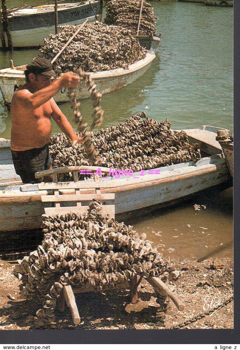 REF 436 : CPSM Métier Pecheur Arcachon Le Travail De L'huitre Collecteur - Pêche