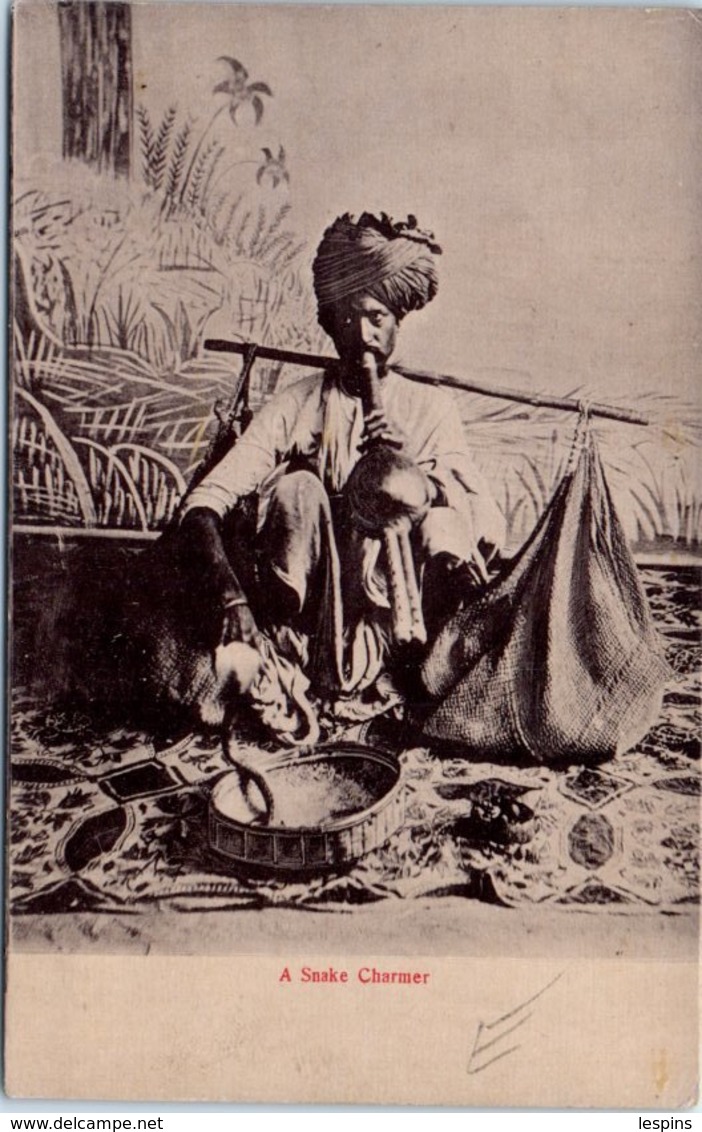ASIE  - INDE - A Snake Charmer - India
