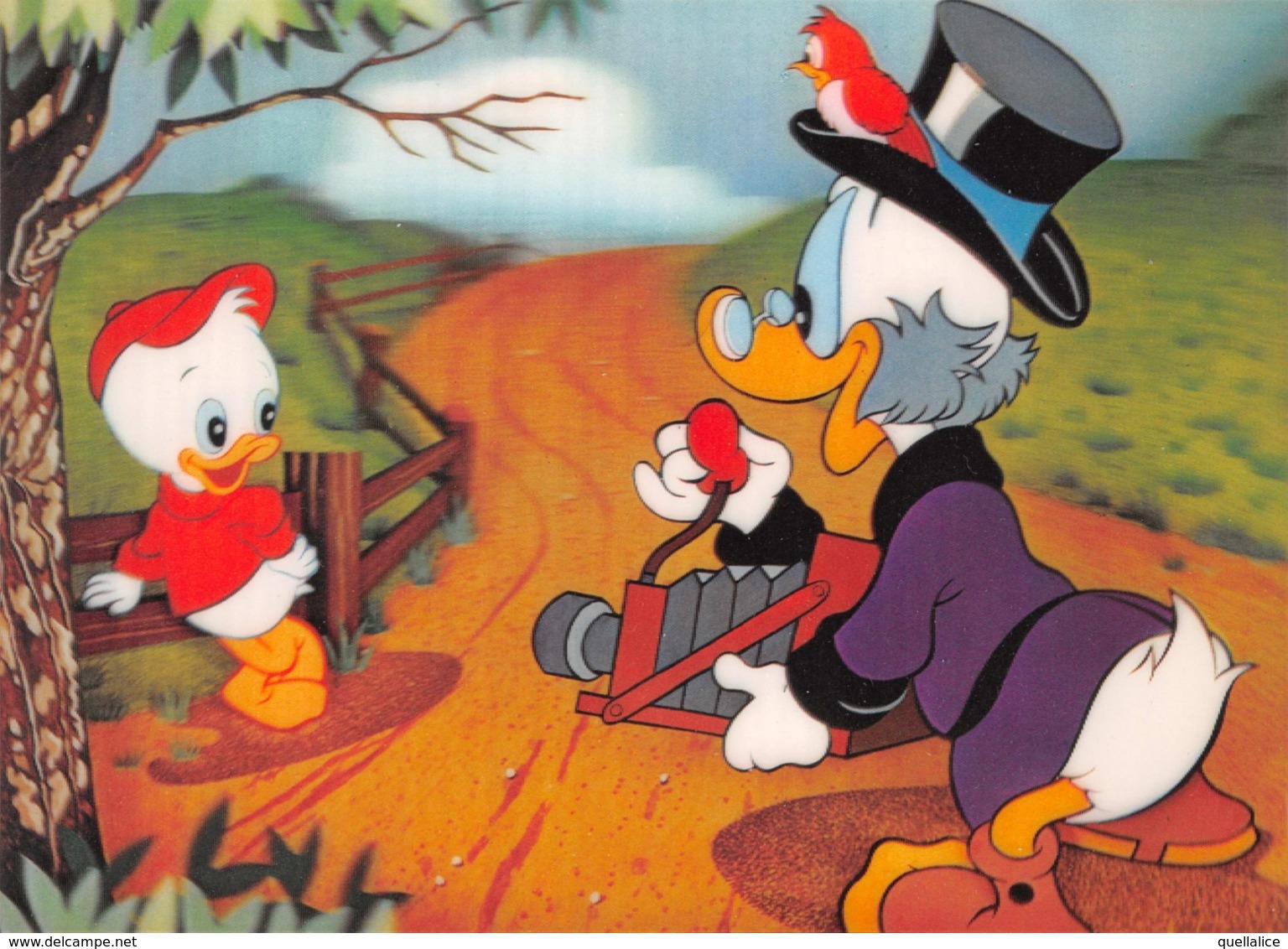 01304 "ZIO PAPERONE FOTOGRAFO-NIPOTE QUI-DAGOBERT DUCK ALS FOTOGRAPH SCROOGE MCDUCK AS PHOTOGRAPHER EL TIO GILITO" CART - Disneyworld