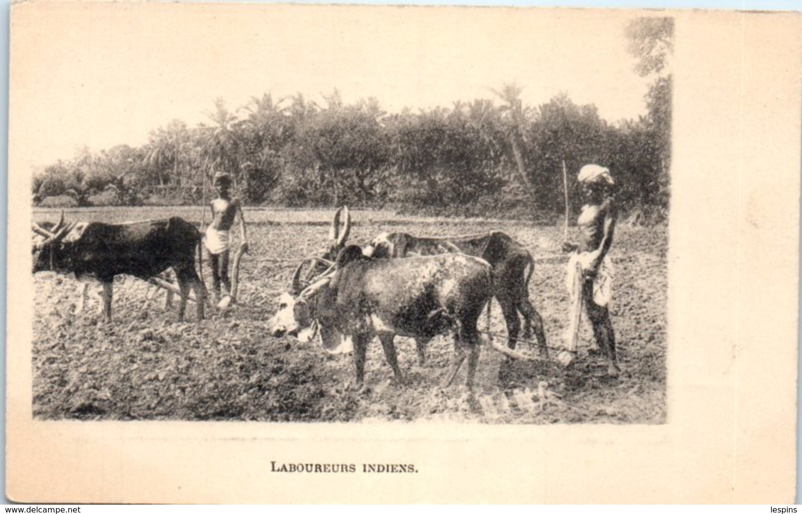 ASIE  - INDE -- Laboureurs Indiens - India