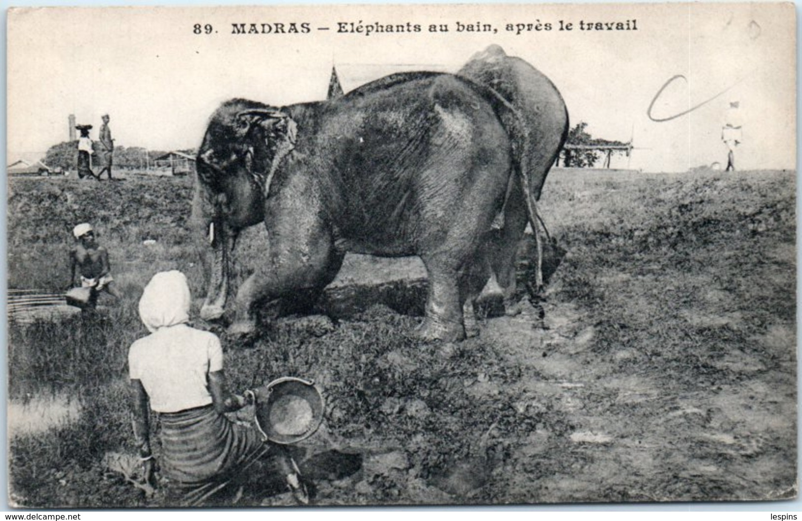 ASIE  - INDE - Madras --  Eléphants Au Bain , Après Le Travail - Indien