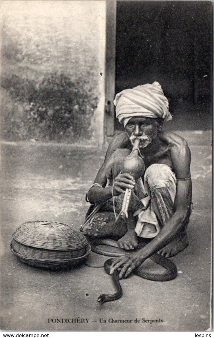 ASIE  - INDE - Pondichéry -- Un Charmeur De Serpents - India