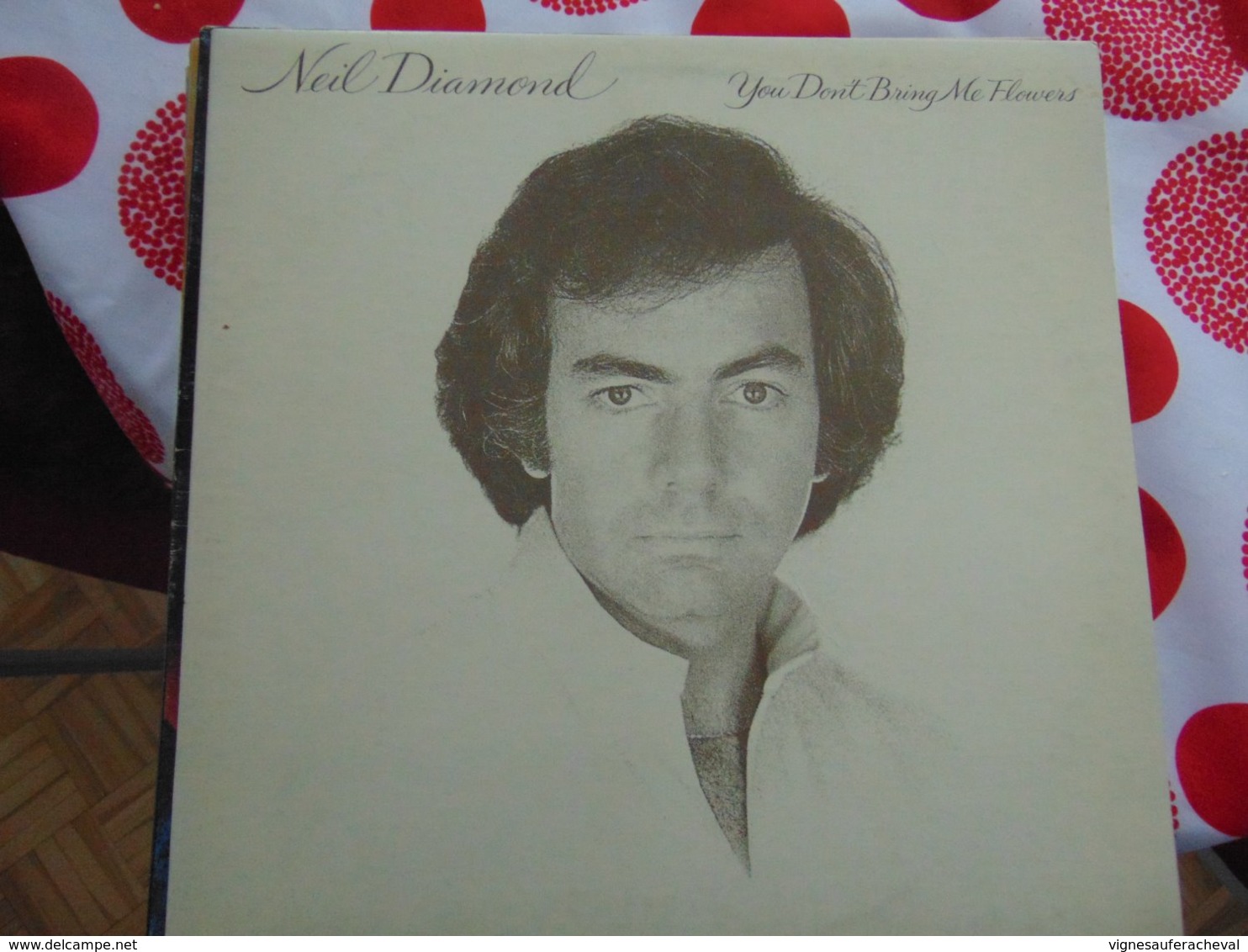 Neil »Diamond- You Don't Bring Me Flowers - Sonstige - Englische Musik