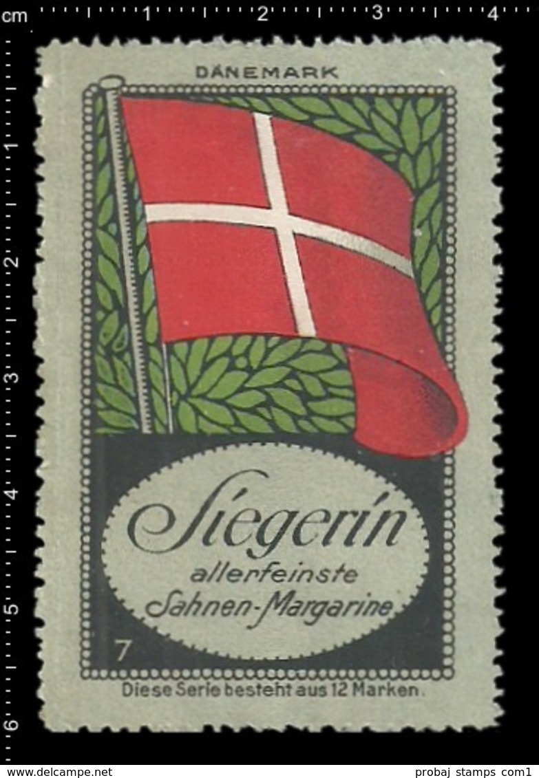Old German Poster Stamp Cinderella Vignette Erinoffilo Reklamemarke Flag Flagge Denmark Dänemark. - Sonstige & Ohne Zuordnung