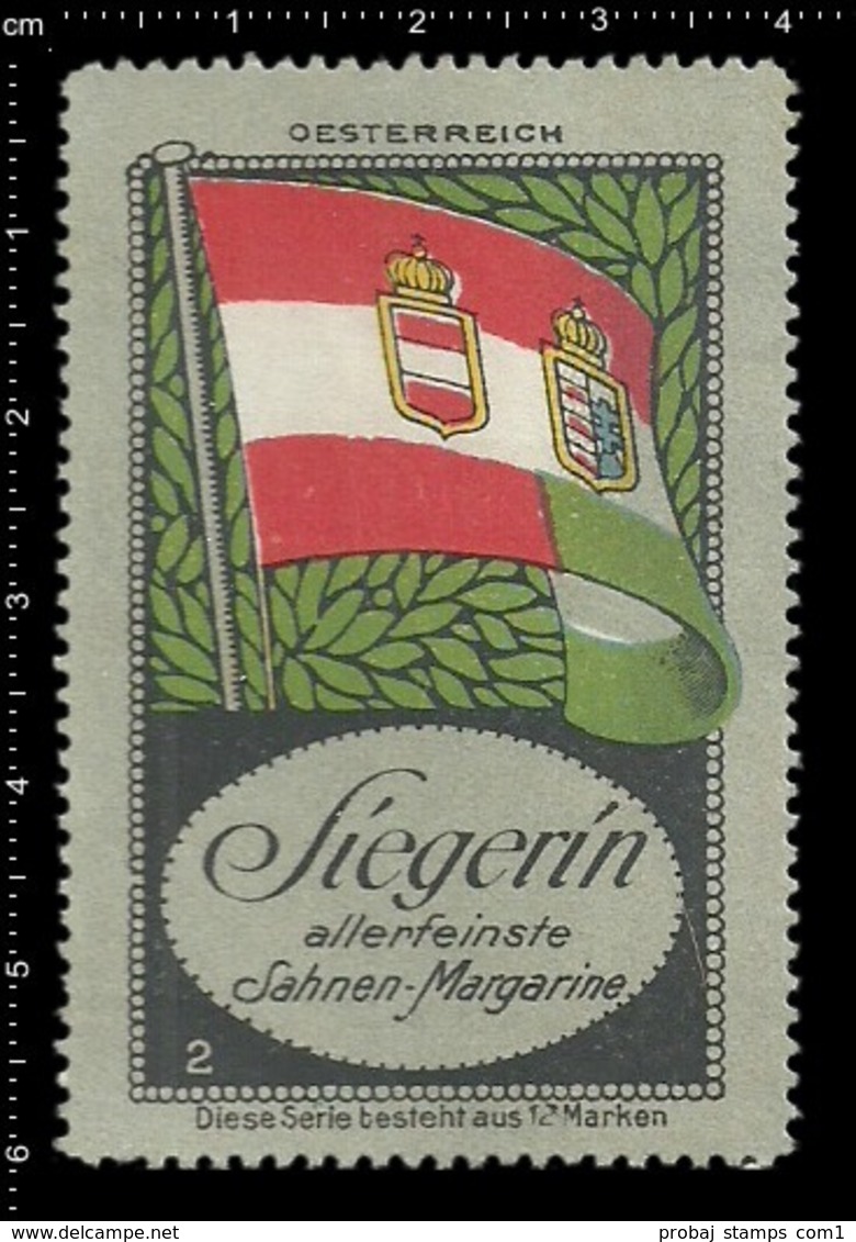 Old German Poster Stamp Cinderella Vignette Erinoffilo Reklamemarke Flag Flagge Austria Oesterreich. - Sonstige & Ohne Zuordnung