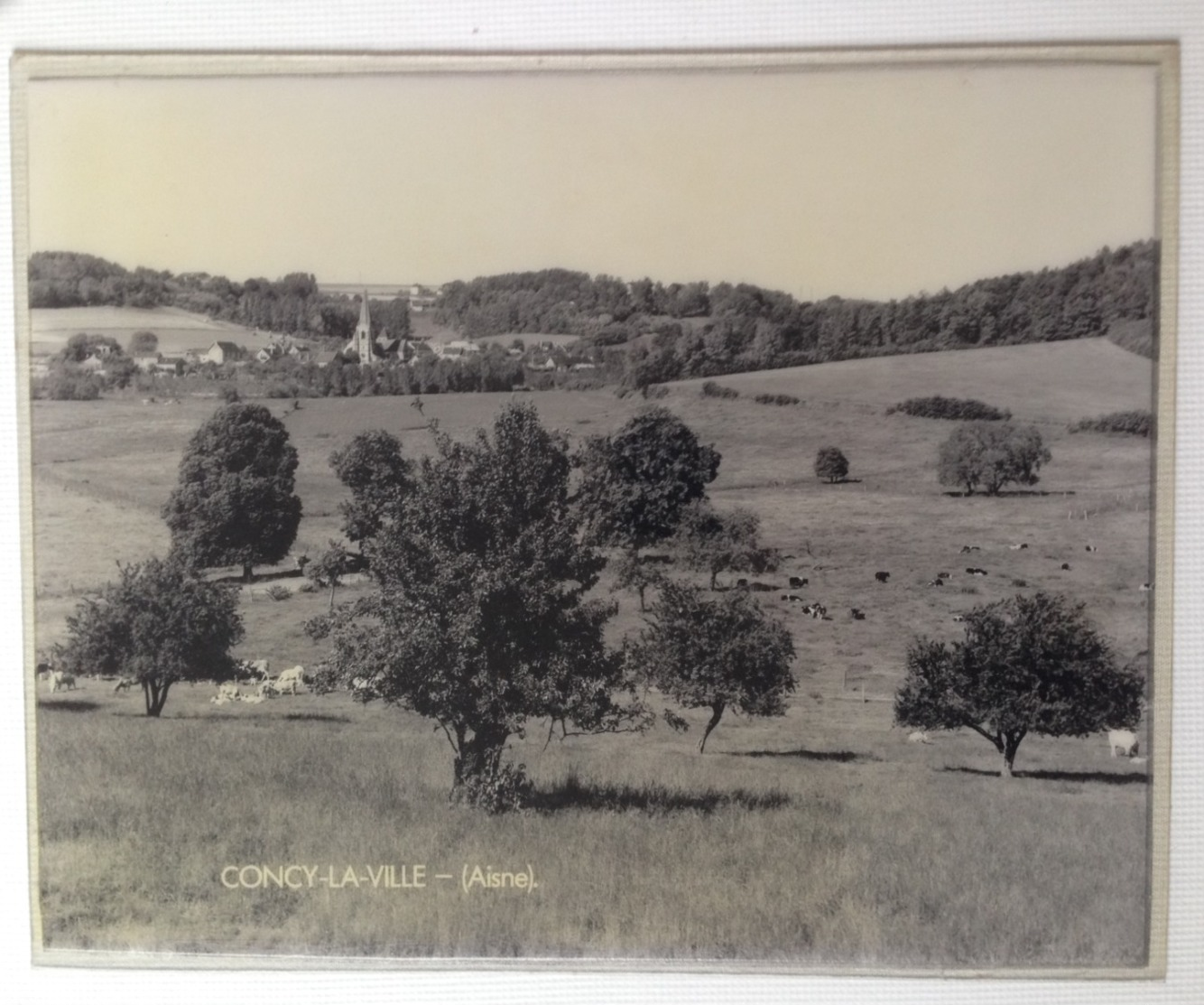 Objet Du Train : Photographie De Compartiment De Wagon SNCF CONCY LA VILLE (aisne) Grand Format Sous Plastique Rigide - Autres & Non Classés