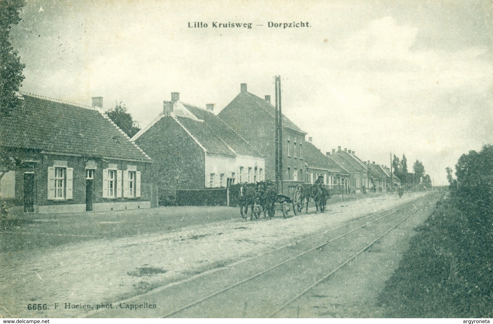 Lillo Kruisweg - Dorpzicht - Paardenspan - Hoelen 6656 - Antwerpen