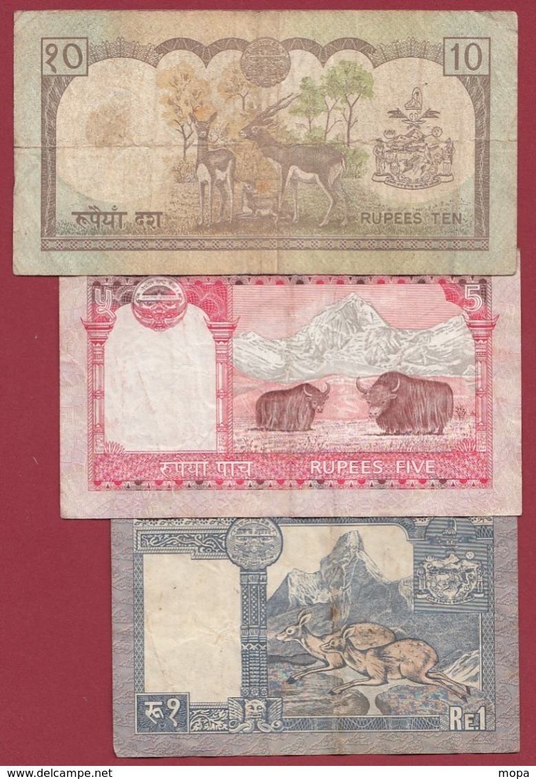 Népal  3 Billets Dans L 'état (5 Lots AUCUN DOUBLE) Lot N °2 - Nepal