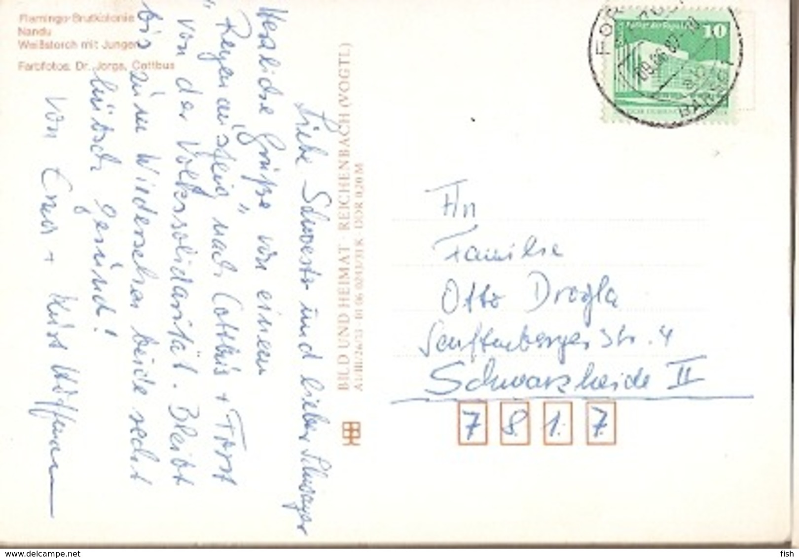 Germany & CottbusTierparc Flamingo Brutkolonie, Nandu, Weißstorch Mit Jungen, Forst To Schwarzheide 1987 (5776) - Cottbus