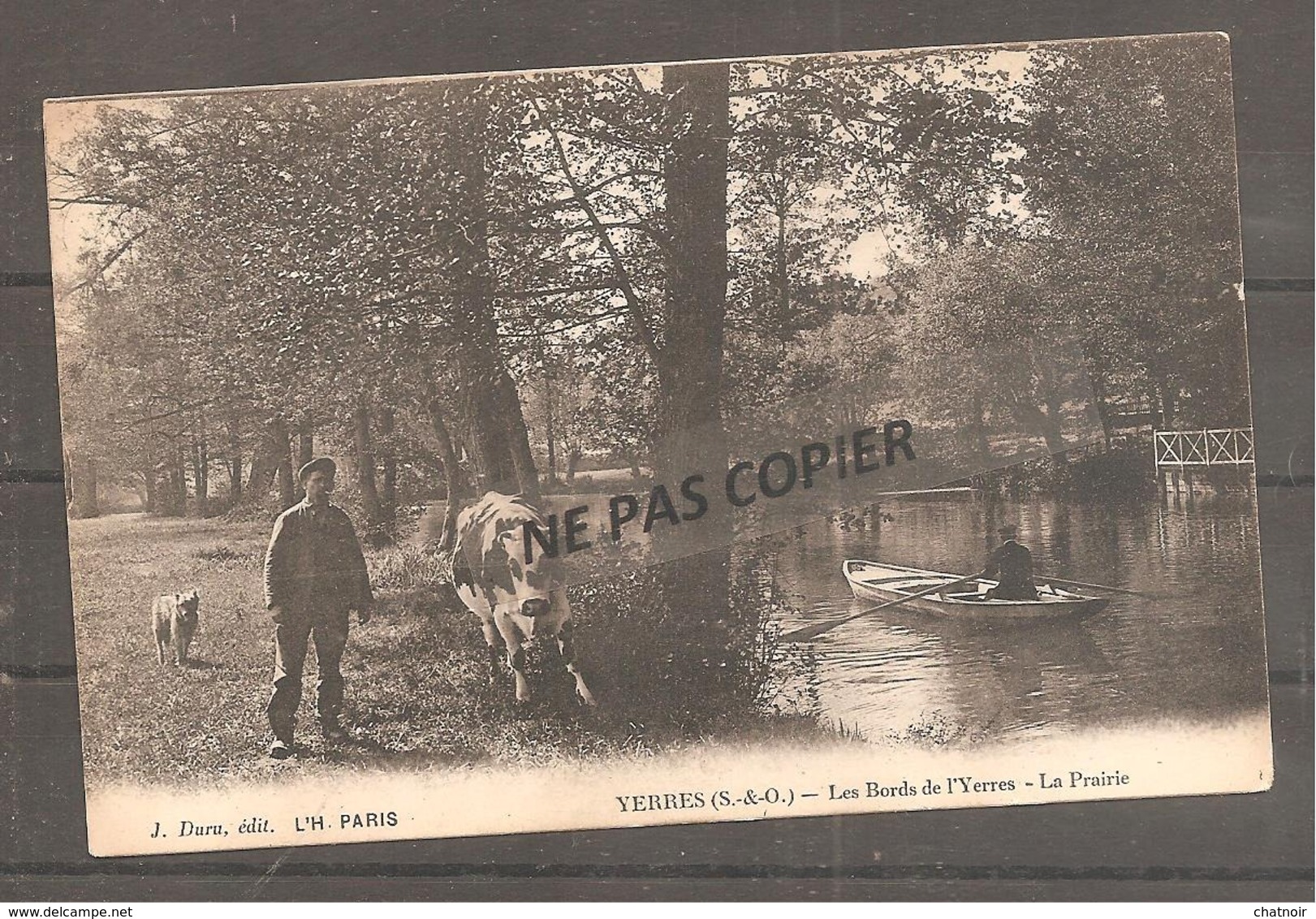 YERRES   Les Bords De L Yerres   La Prairie    Chien  Vache Barque - Yerres