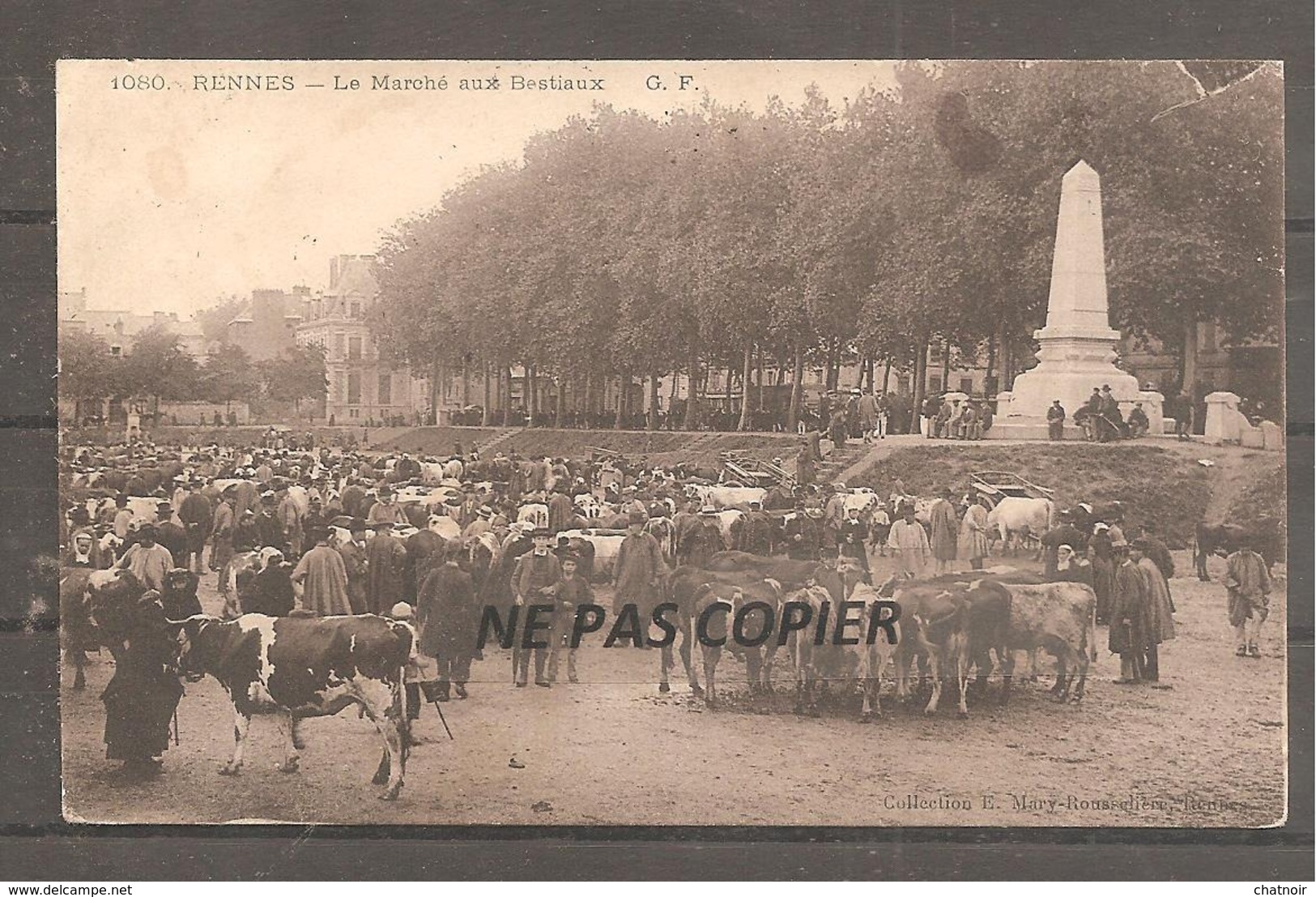 RENNES   Le Marche Aux Bestiaux   Vaches   Oblit  1907 - Andere & Zonder Classificatie