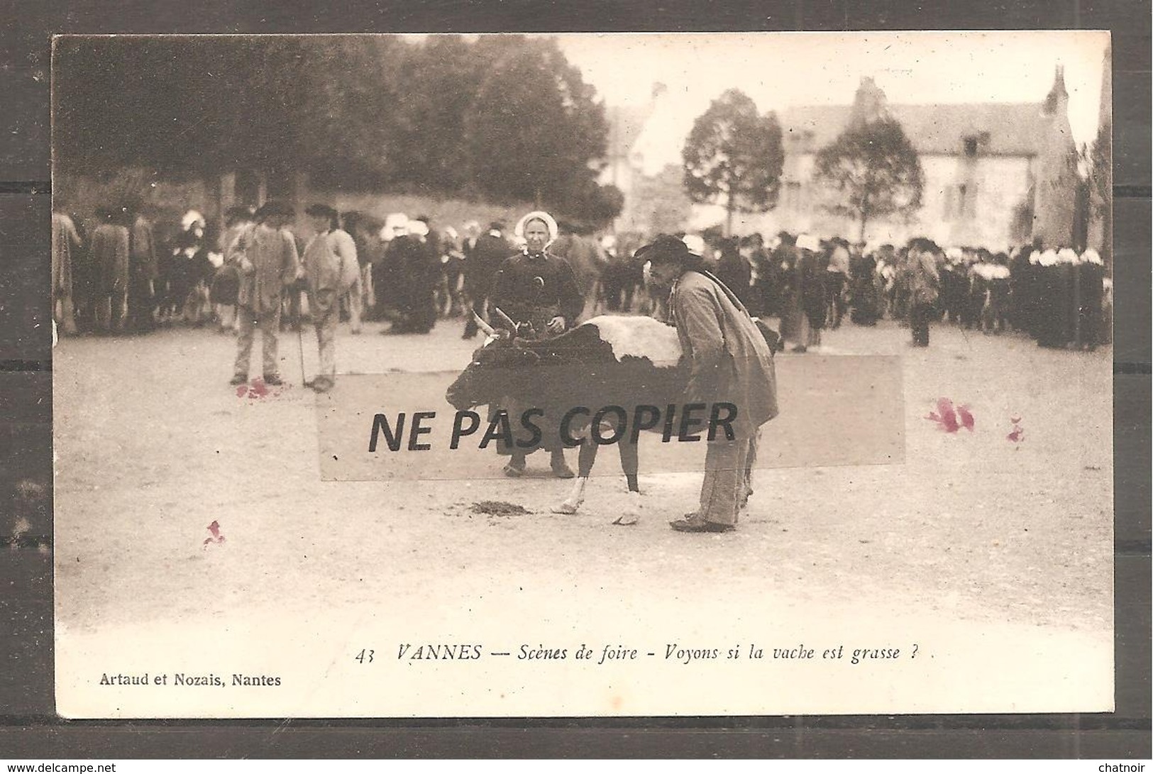 VANNES    Scene De Foire    Vache - Vannes