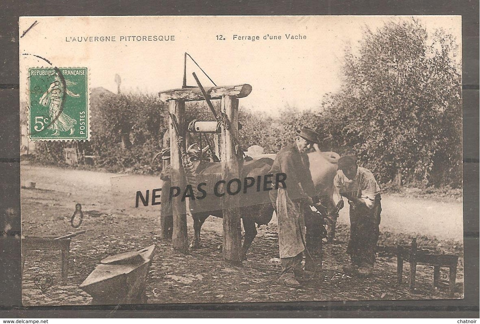 Auvergne    Ferrage D Une Vache - Auvergne
