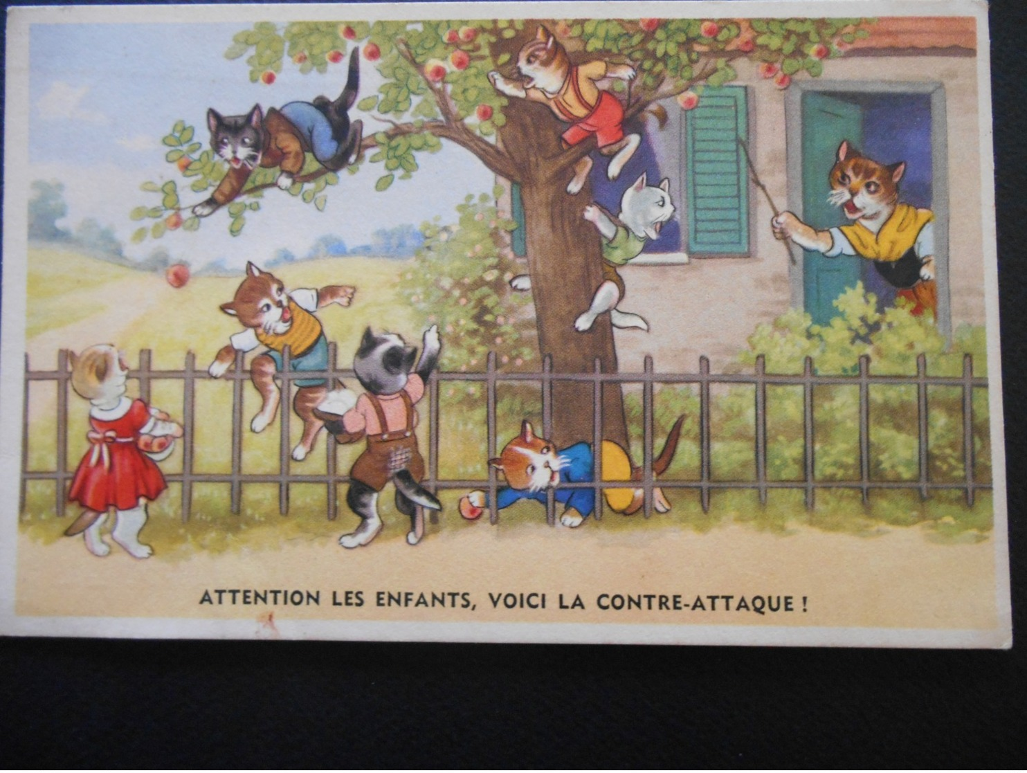 Chatons Habillés Se Sauvant D'une Maison - "Attention Les Enfants, Voici La Contre-attaque !" - Série 54201/10 - Cats