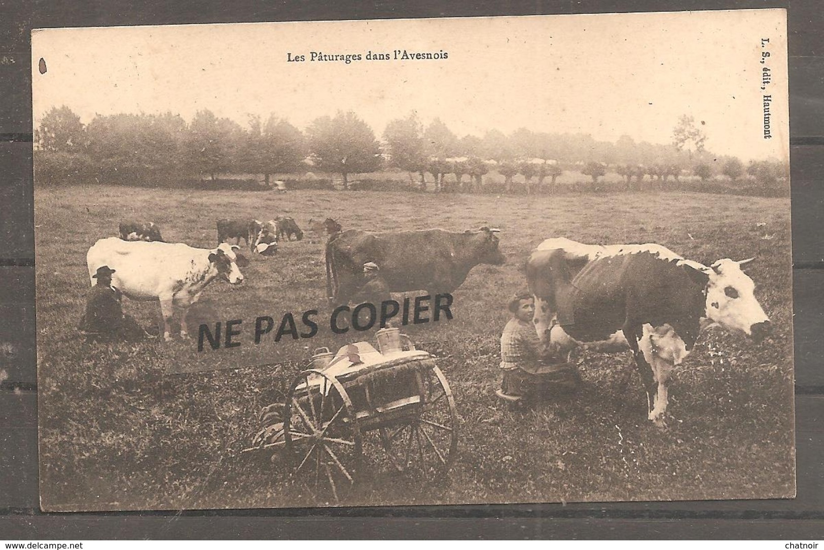 Les Paturages Dans L Avesnois     Traite Des Vaches  Lait   Oblit 1911 - Nord-Pas-de-Calais
