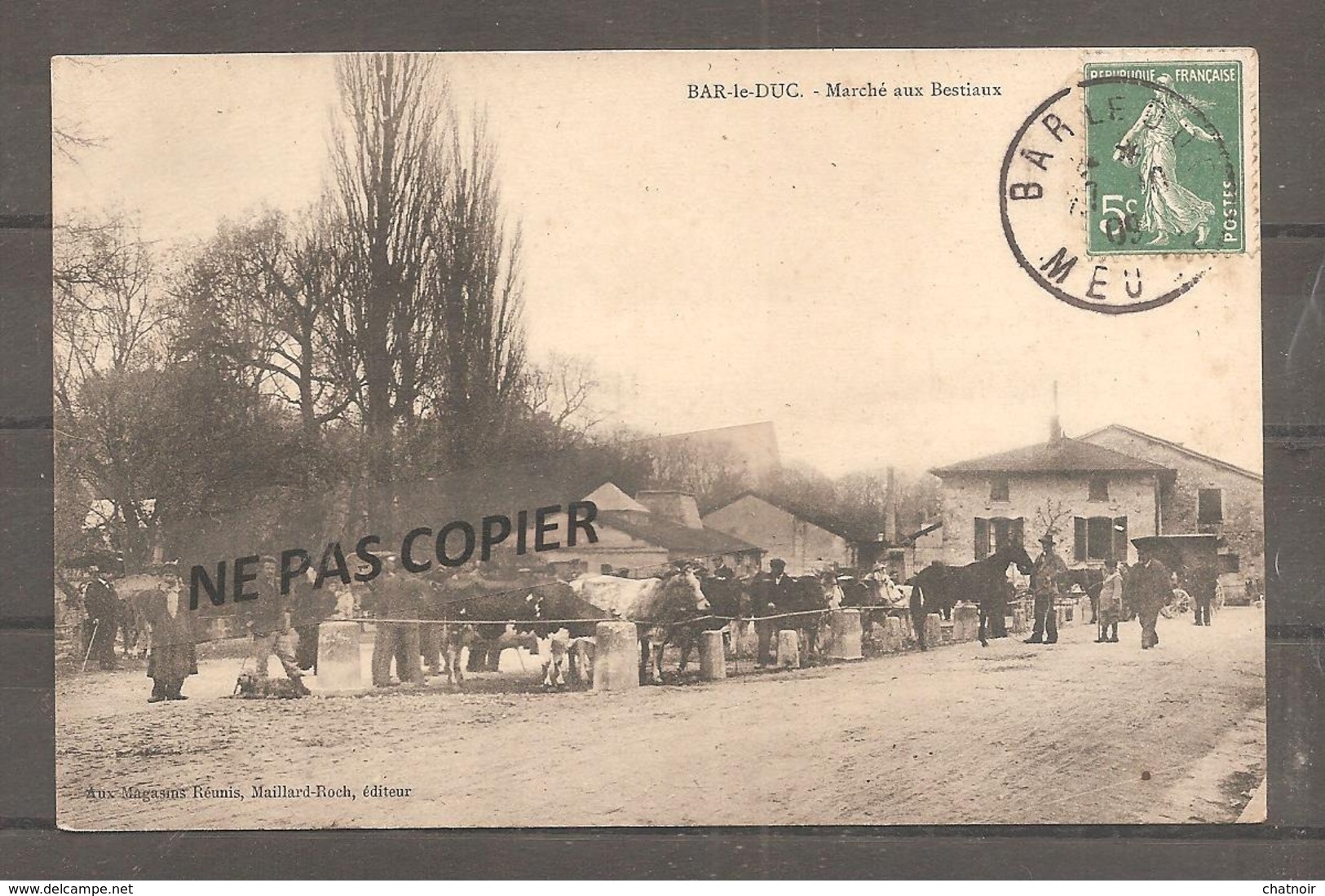 BAR LE DUC    Marche Aux Bestiaux  Cheval  Vaches   Obli 1909 - Bar Le Duc