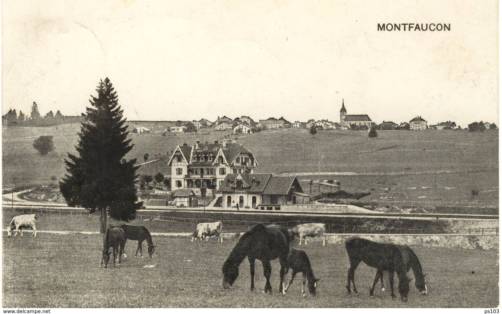 Suisse - Montfaucon (Jura) - Village Vu Des Environs De La Gare - Montfaucon