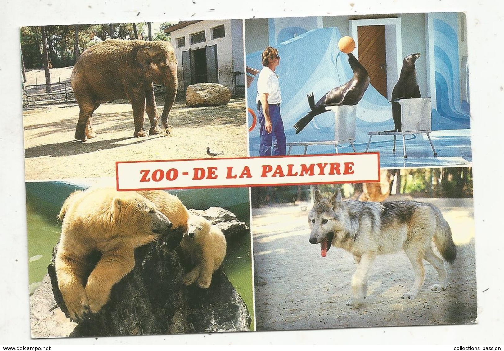 Cp, 17, Les Mathes ,zoo De La Palmyre ,éléphant ,les Otaries,ourse ,ourson ,le Loup , écrite,multi Vues - Les Mathes