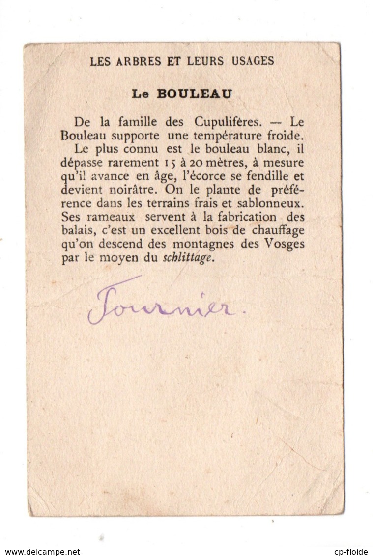 CHROMO LES ARBRES ET LEURS USAGES . " LE BOULEAU " - Réf. N°23070 - - Otros & Sin Clasificación