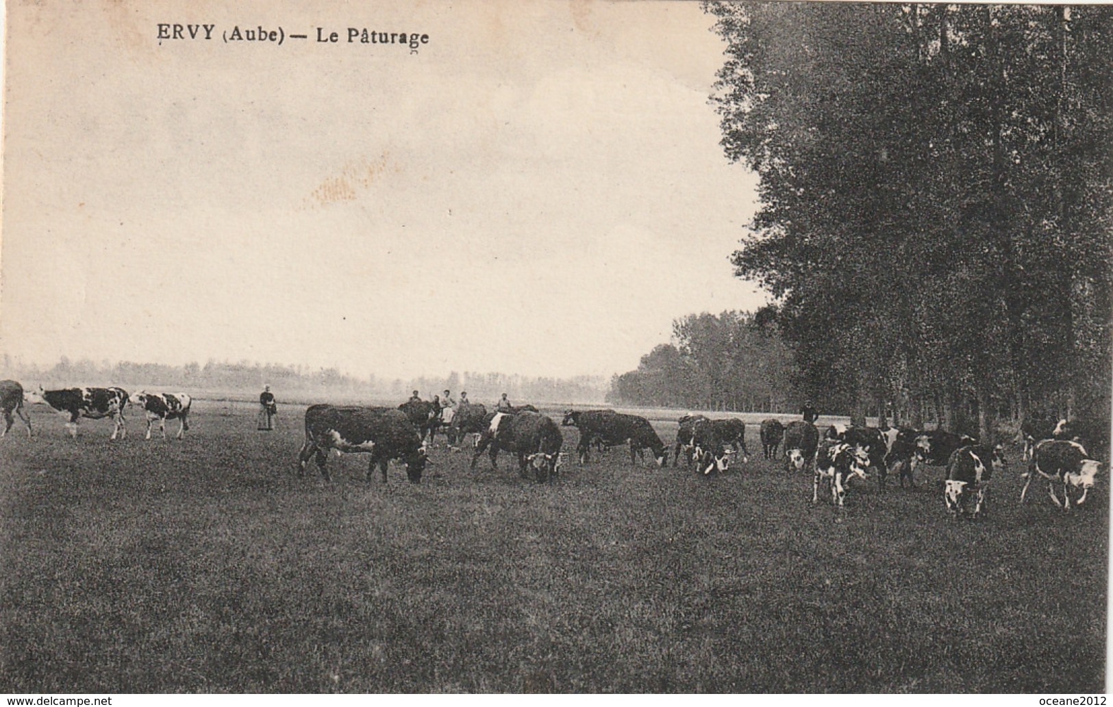 10 Ervy. Le Paturage - Autres & Non Classés