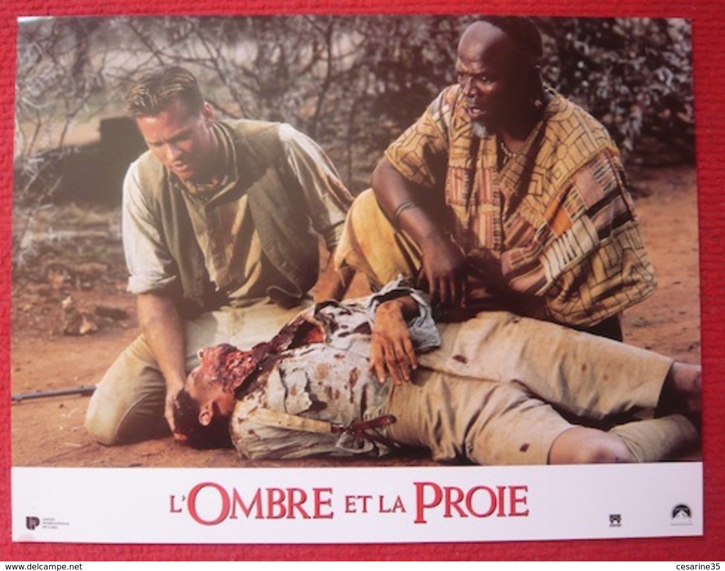 12 Photos Du Film L’ombre Et La Proie (1996) - Albums & Collections