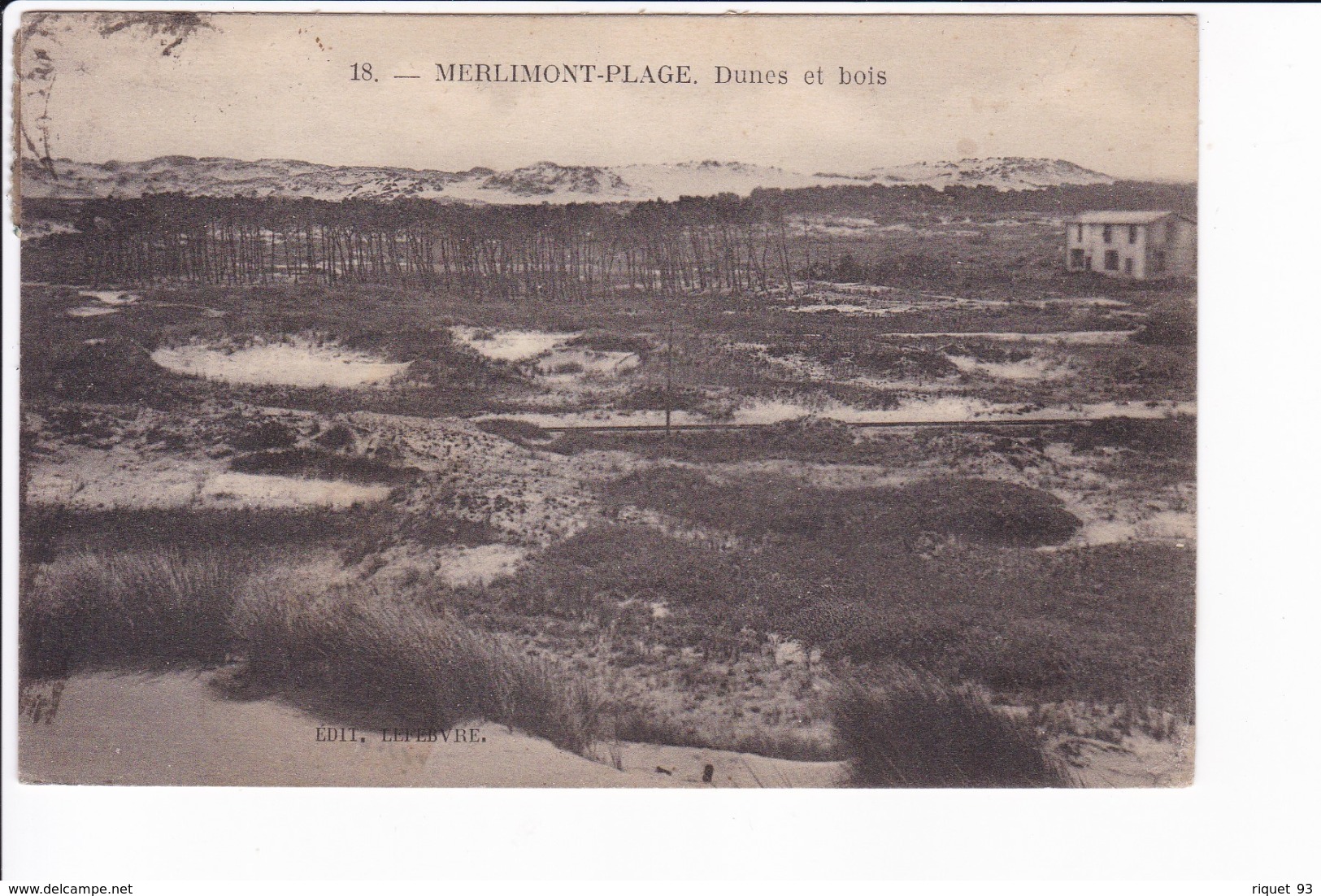 18 - MERLIMONT-PLAGE - Dunes Et Bois - Autres & Non Classés